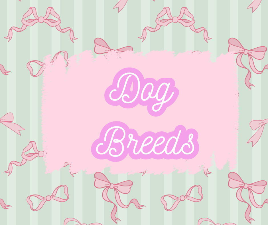 Dog Breeds