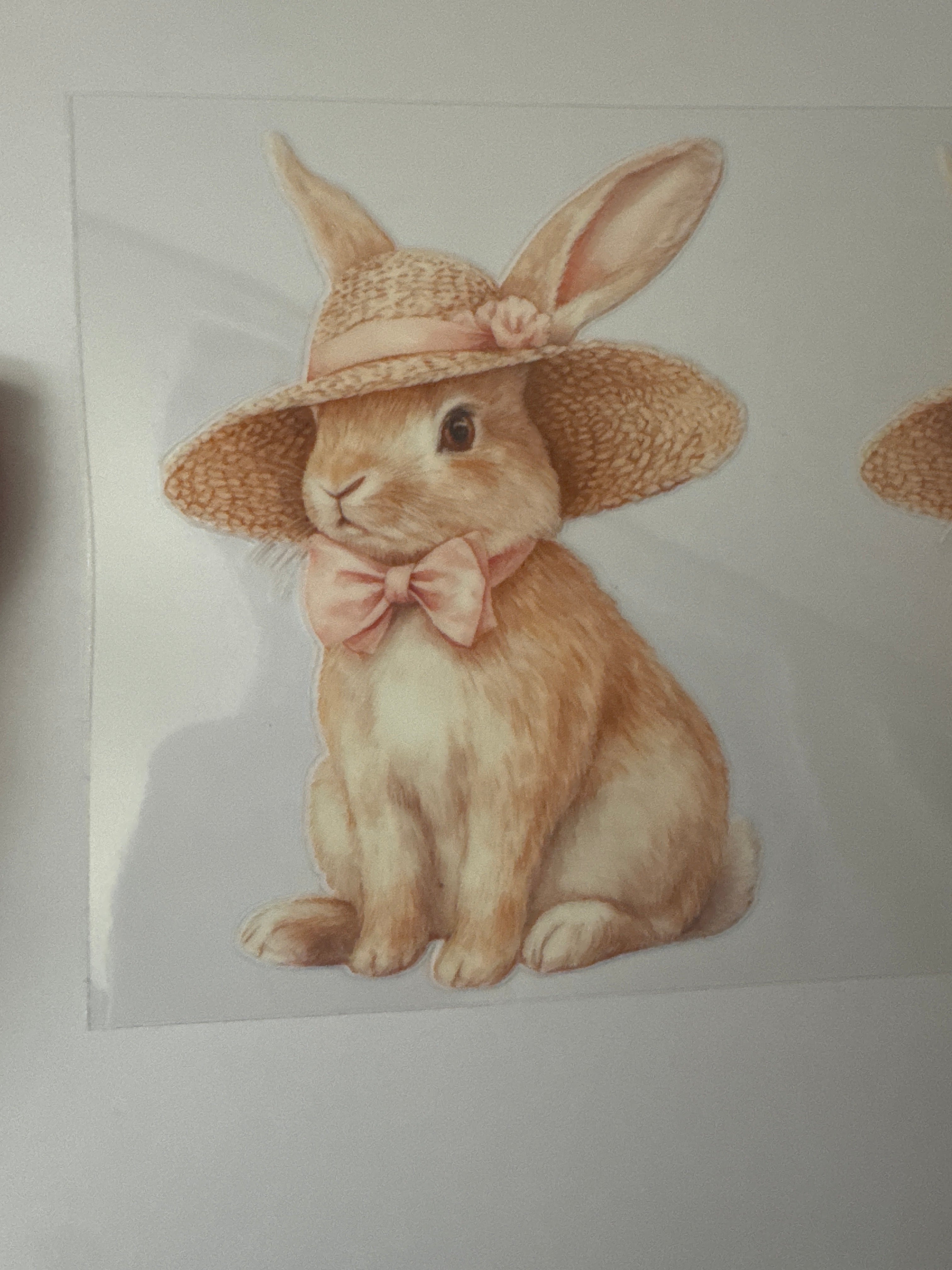 Bunny with straw hat