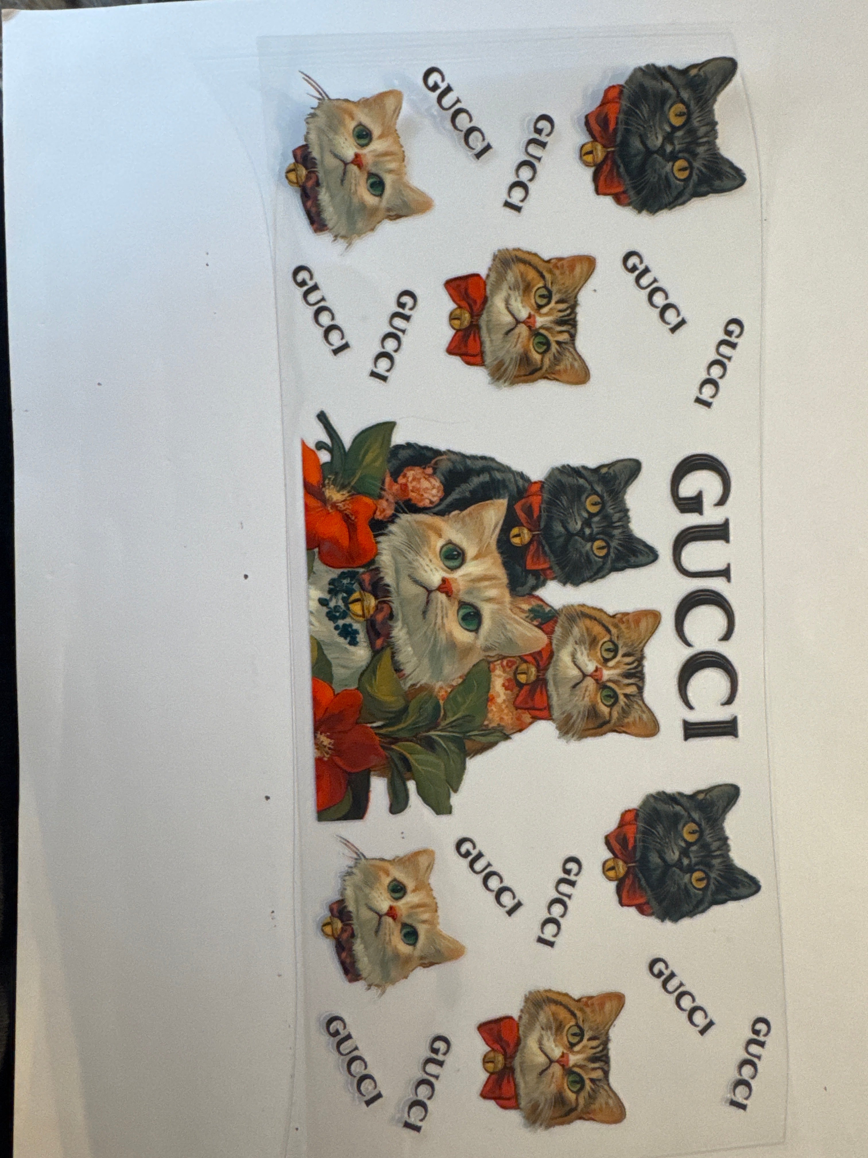 Gucci cats