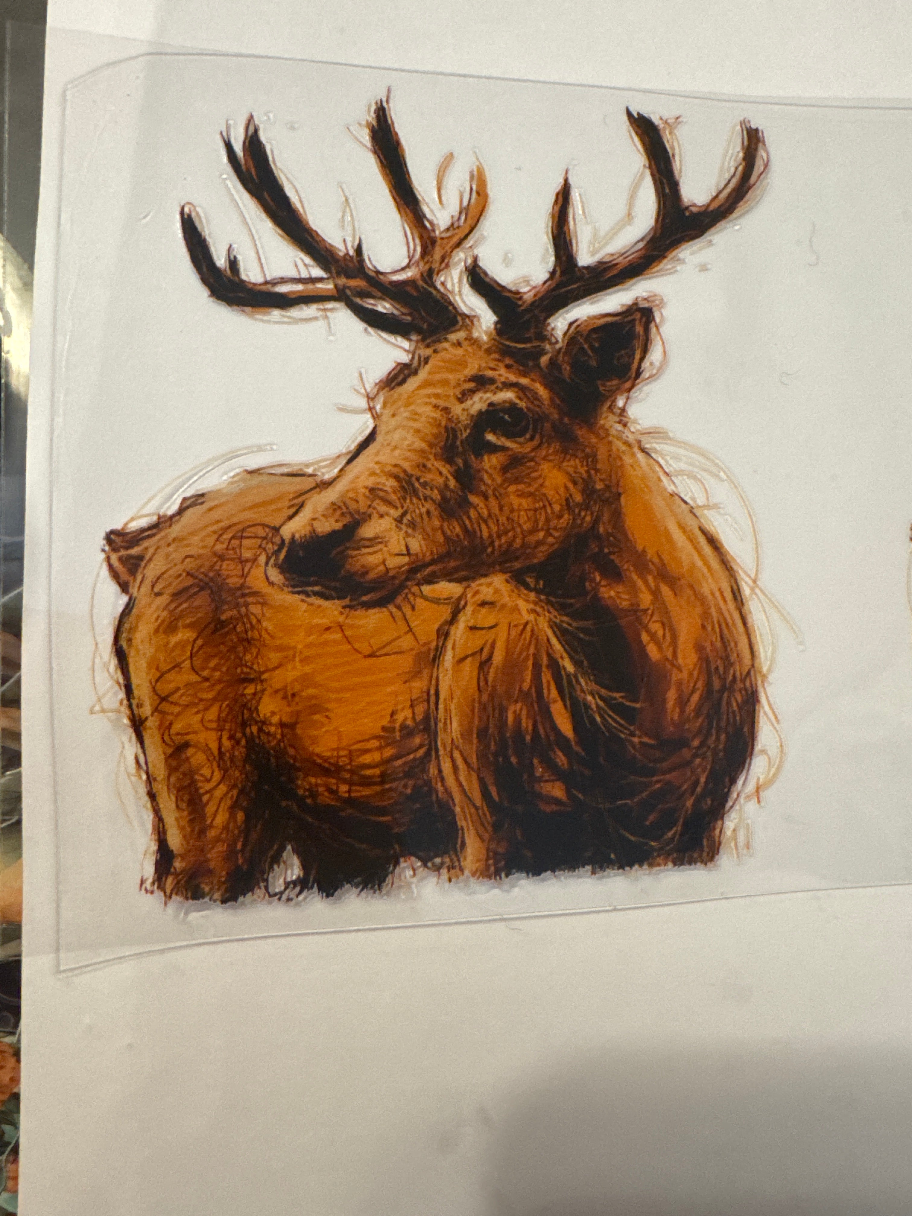 Moose