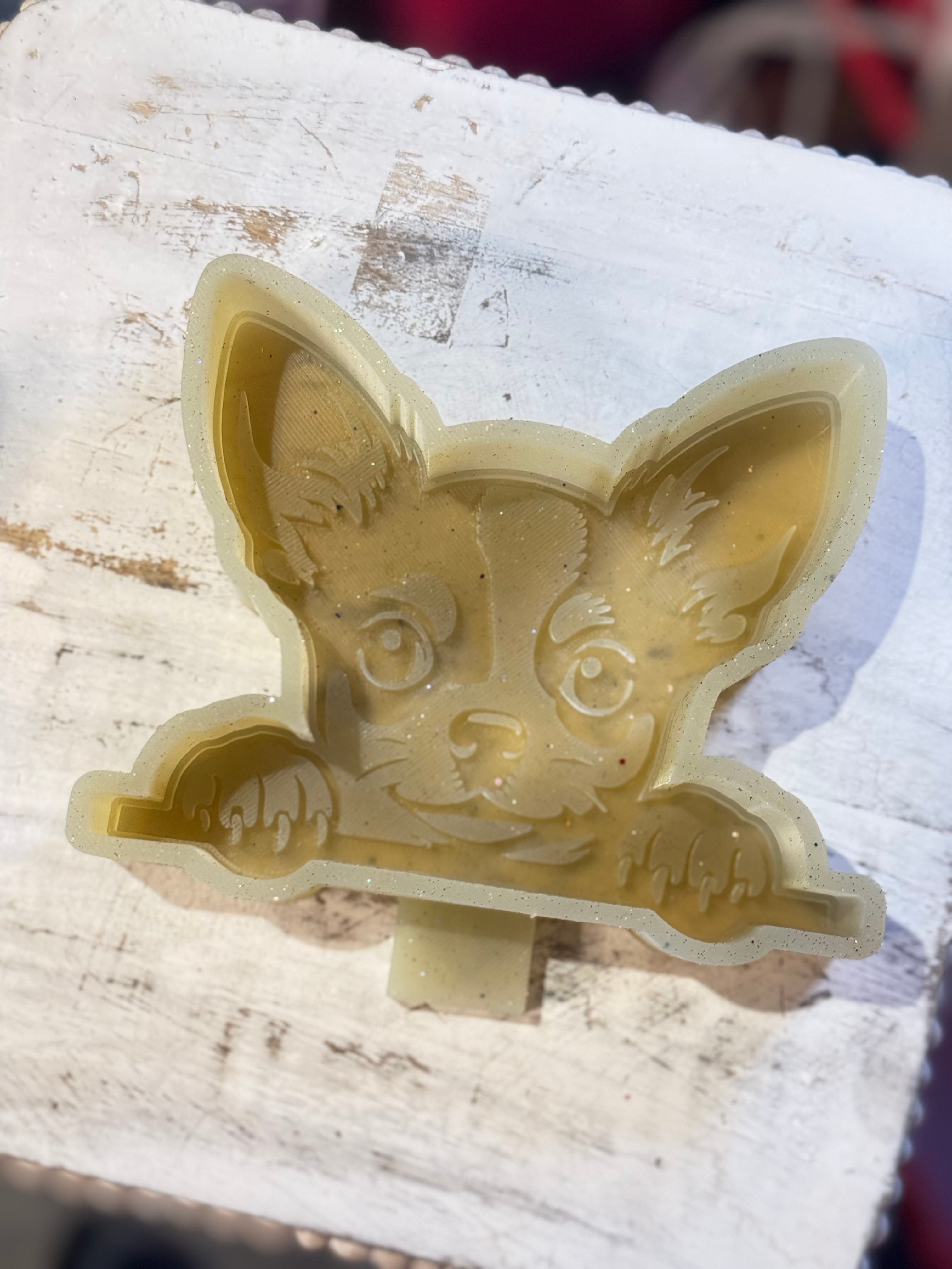 Chihuahua