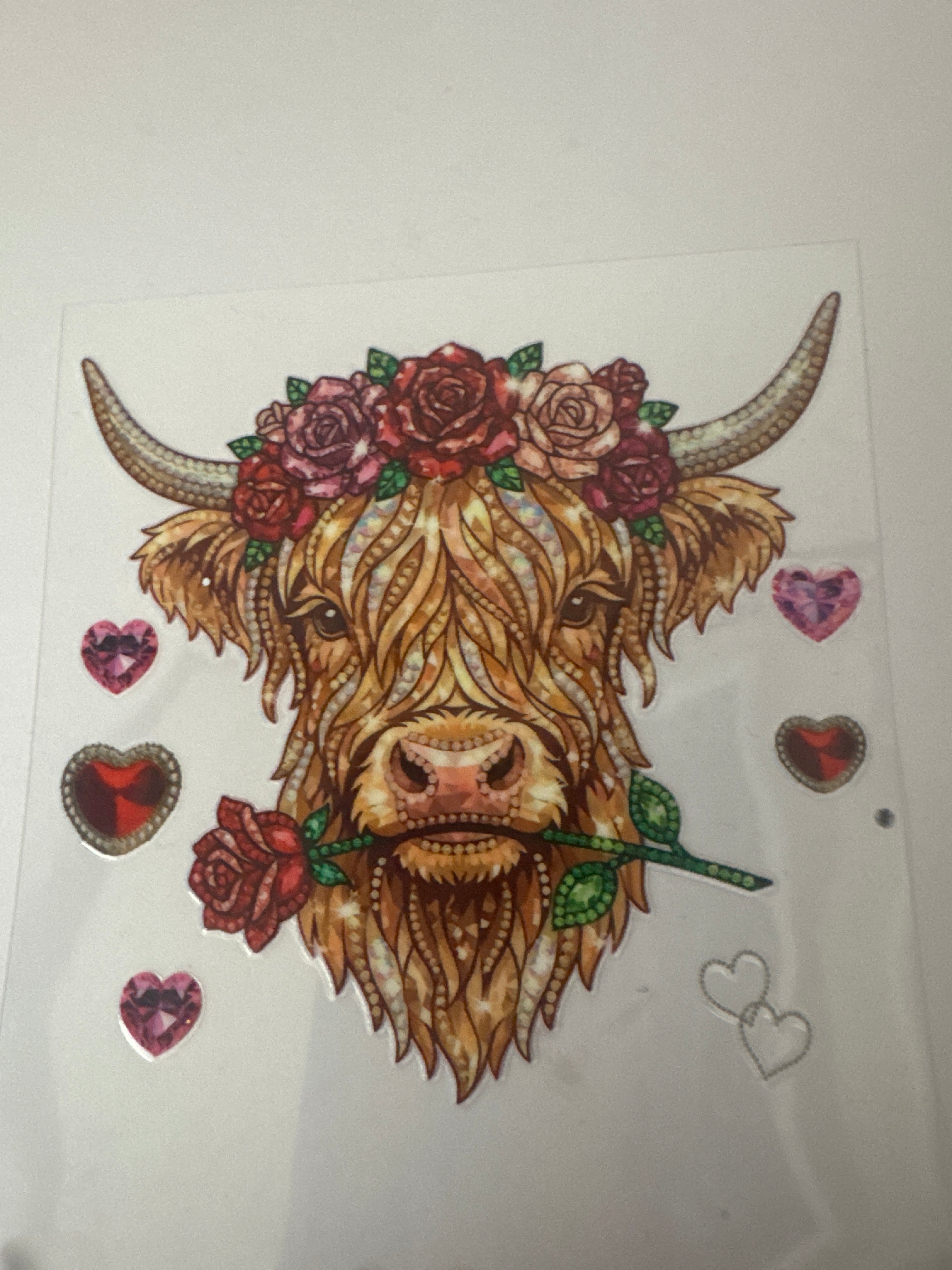 Valentines highland cow