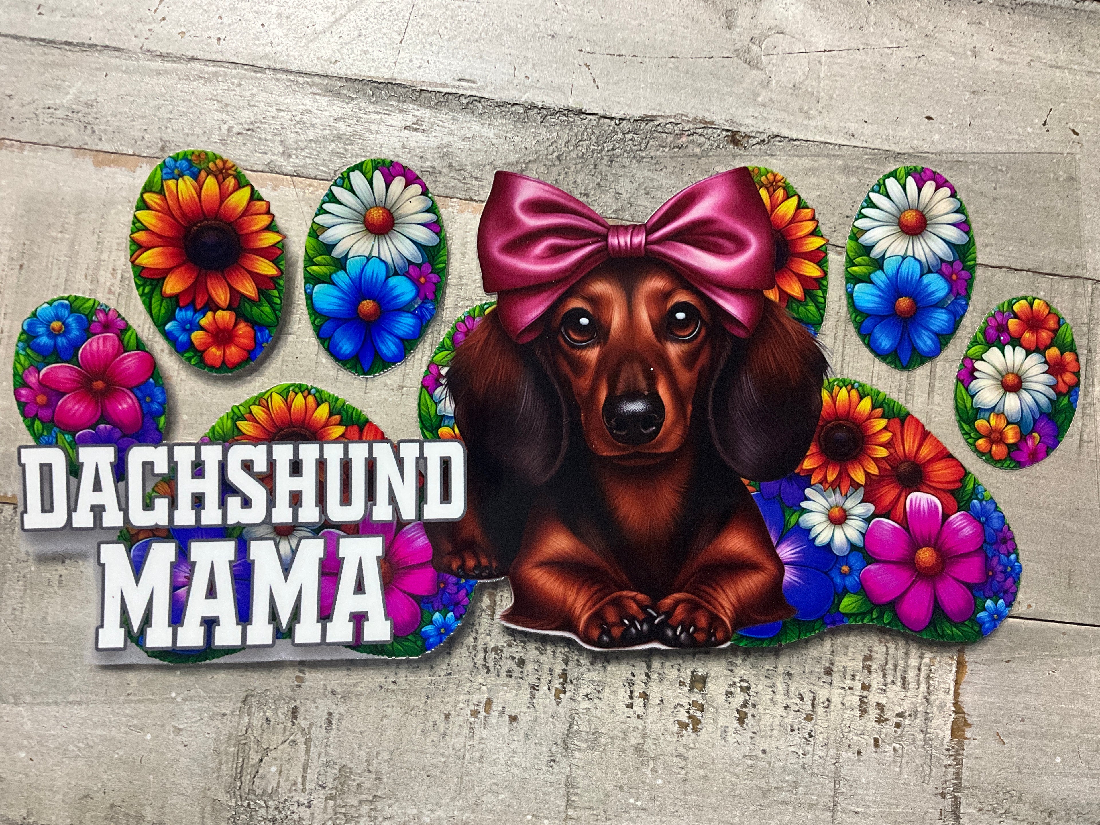 Dachshund mama