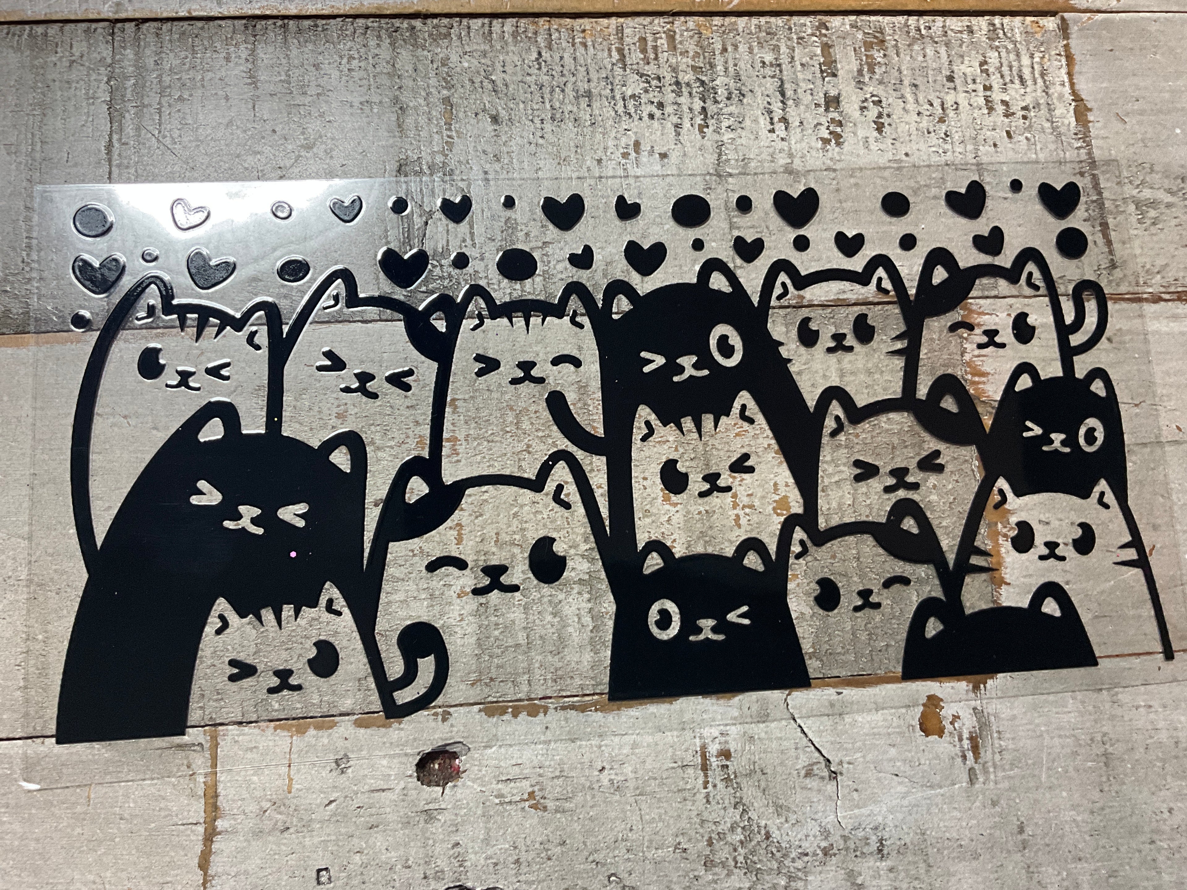 Cats audience