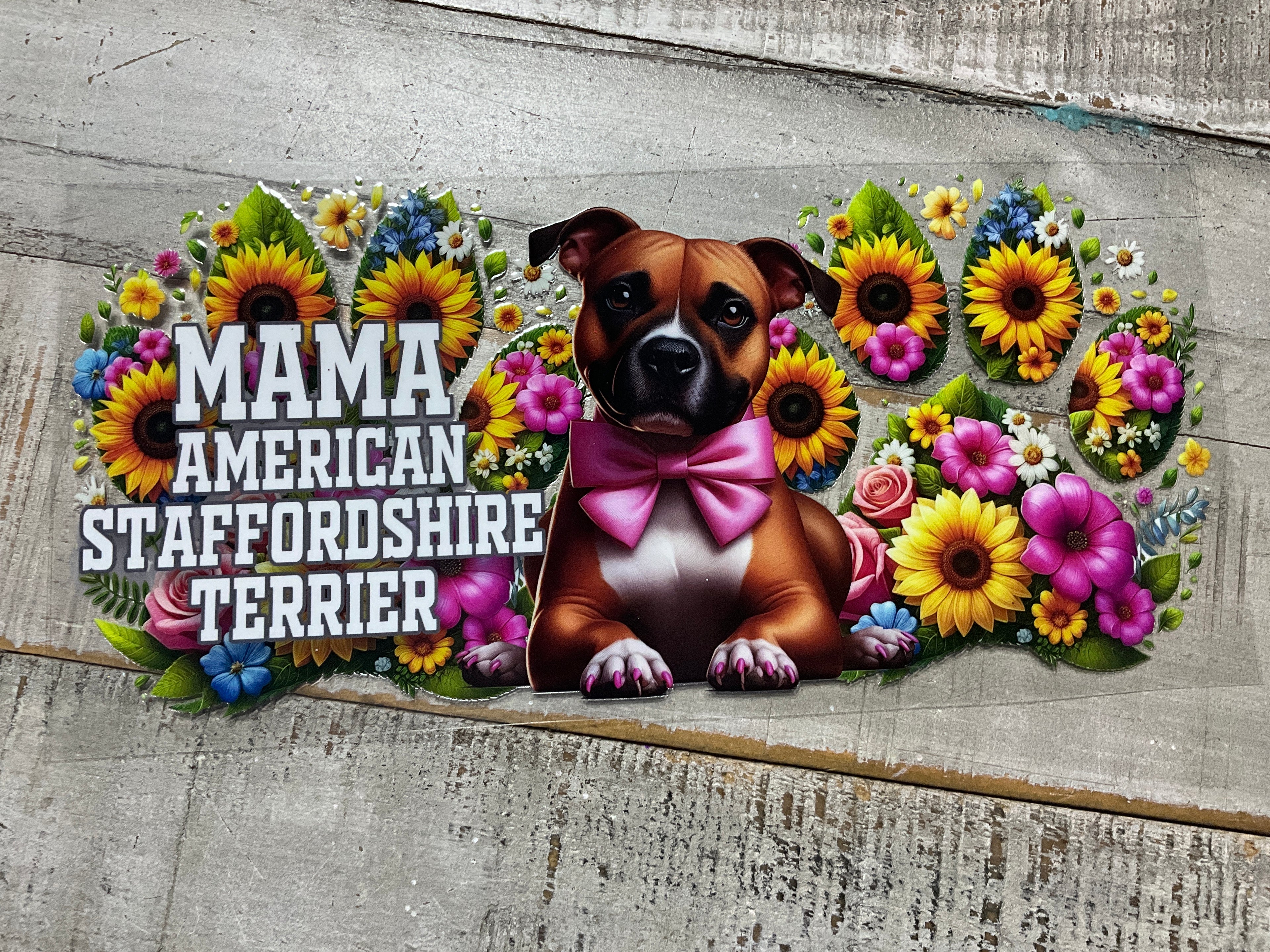 American staffordshire terrier mama