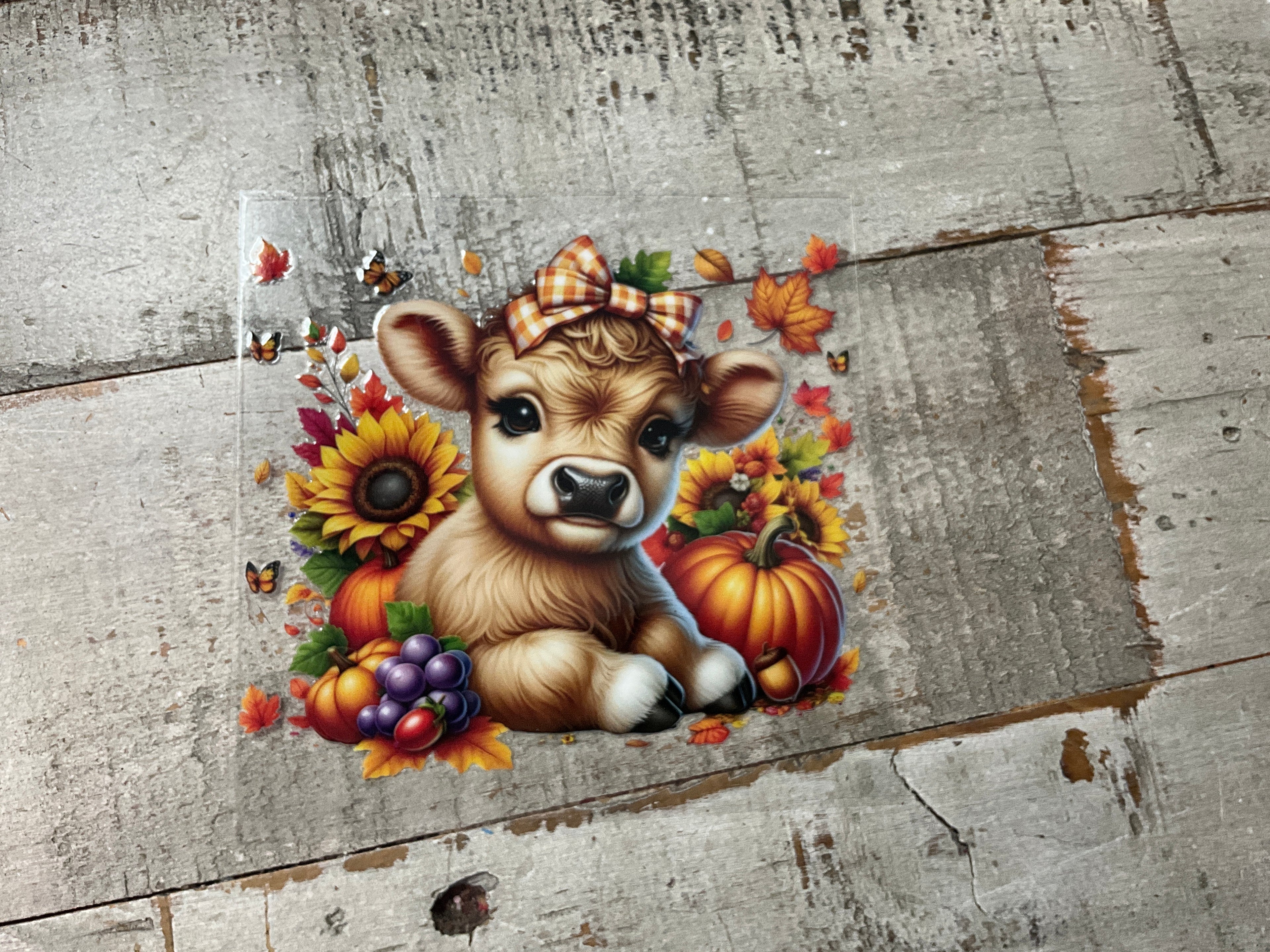Cute fall cow