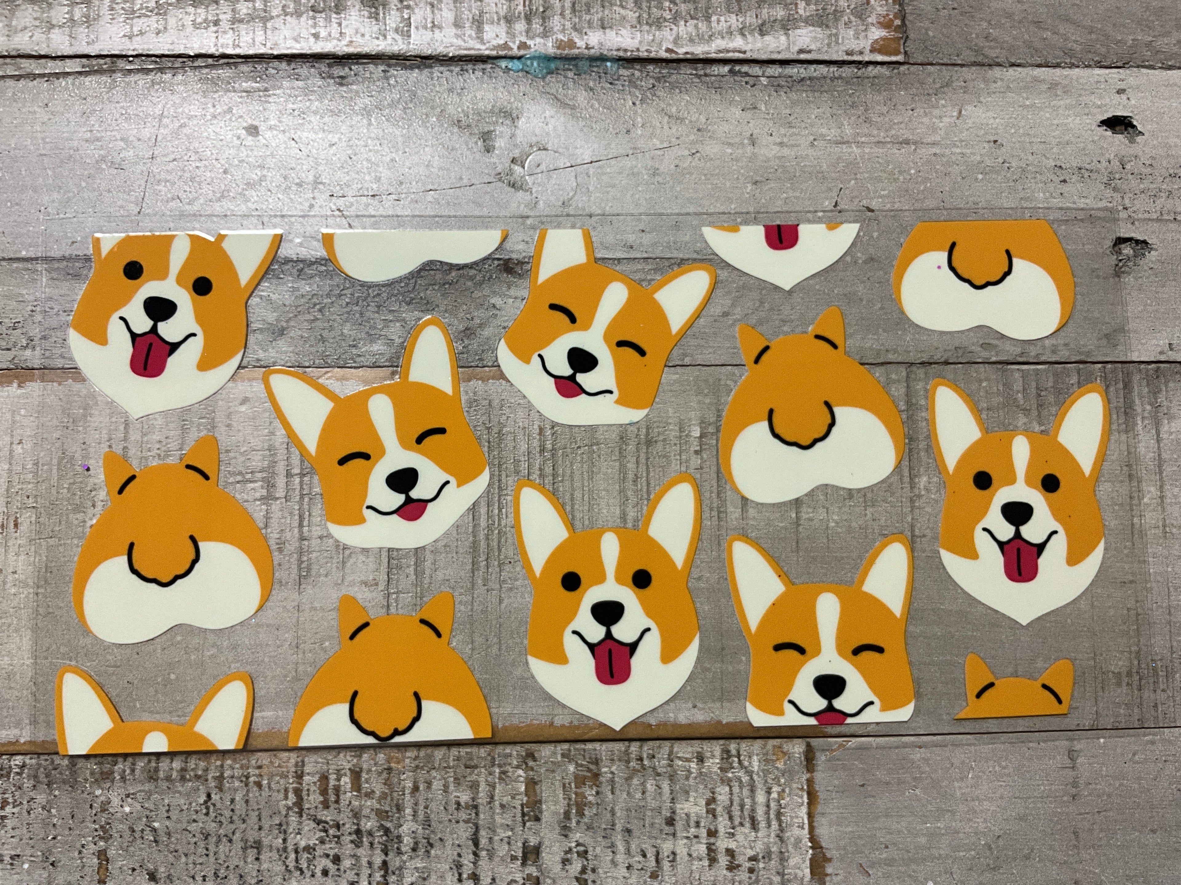 Corgi