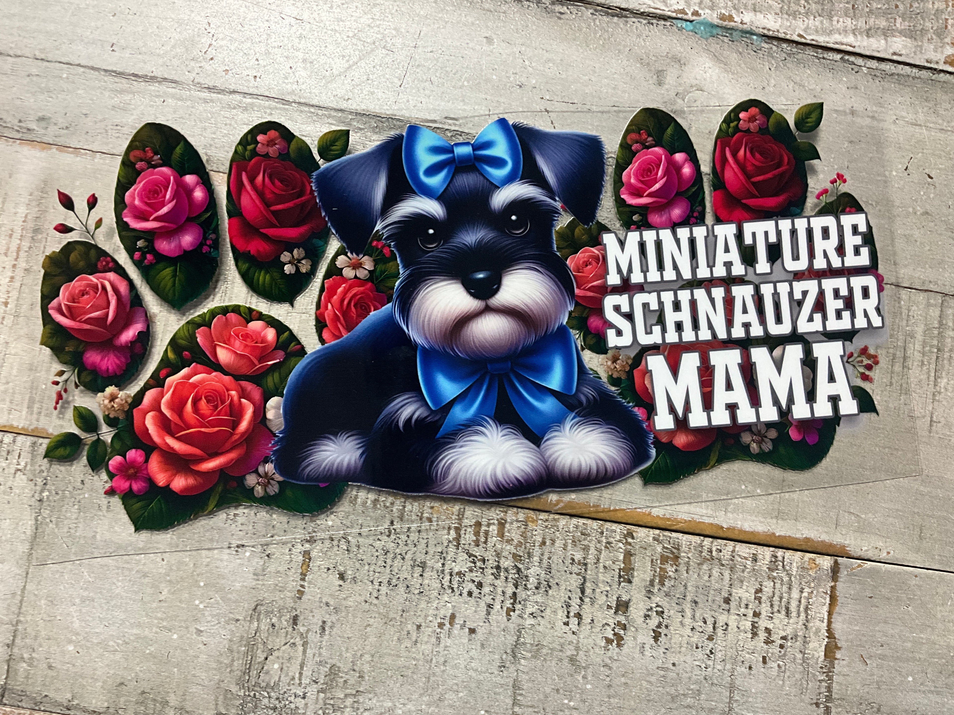 Mini schnauzer mama