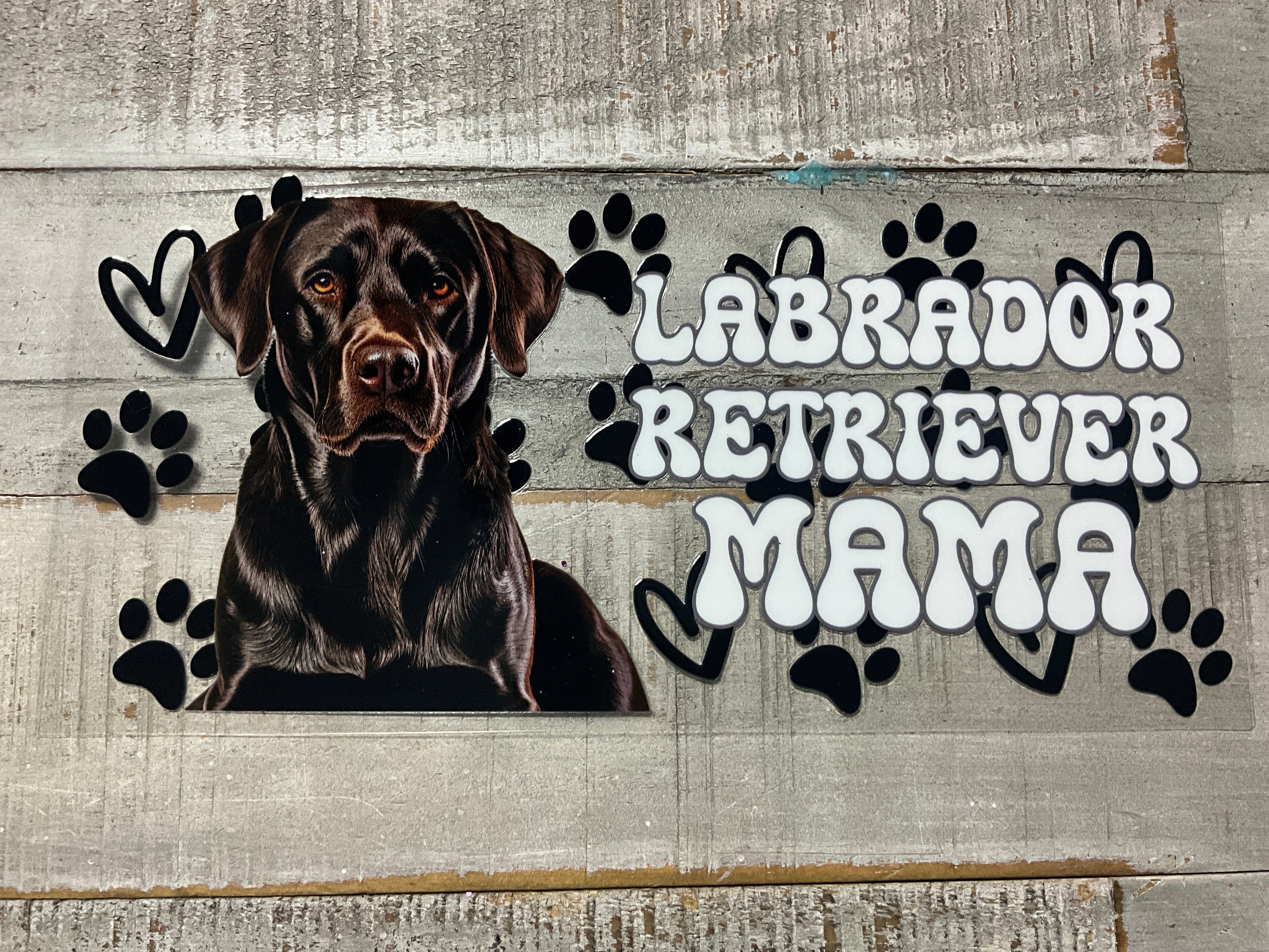 Chocolate lab mama
