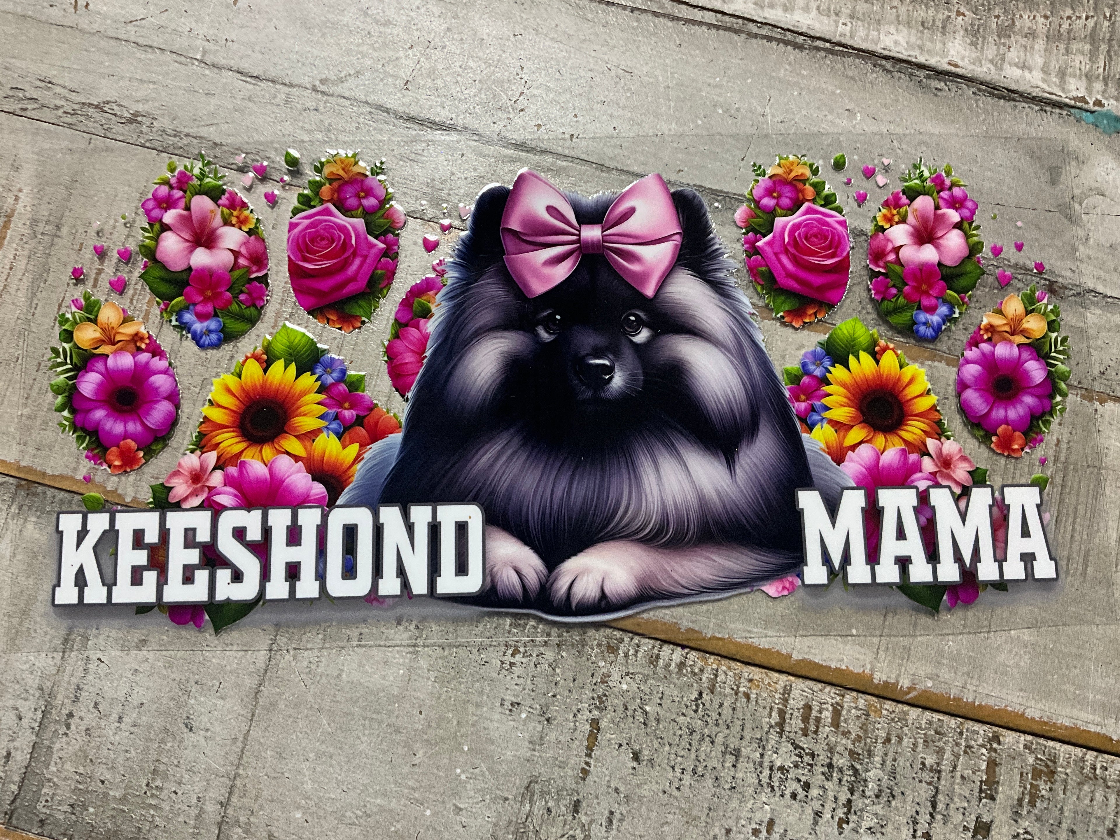 Keeshond mama