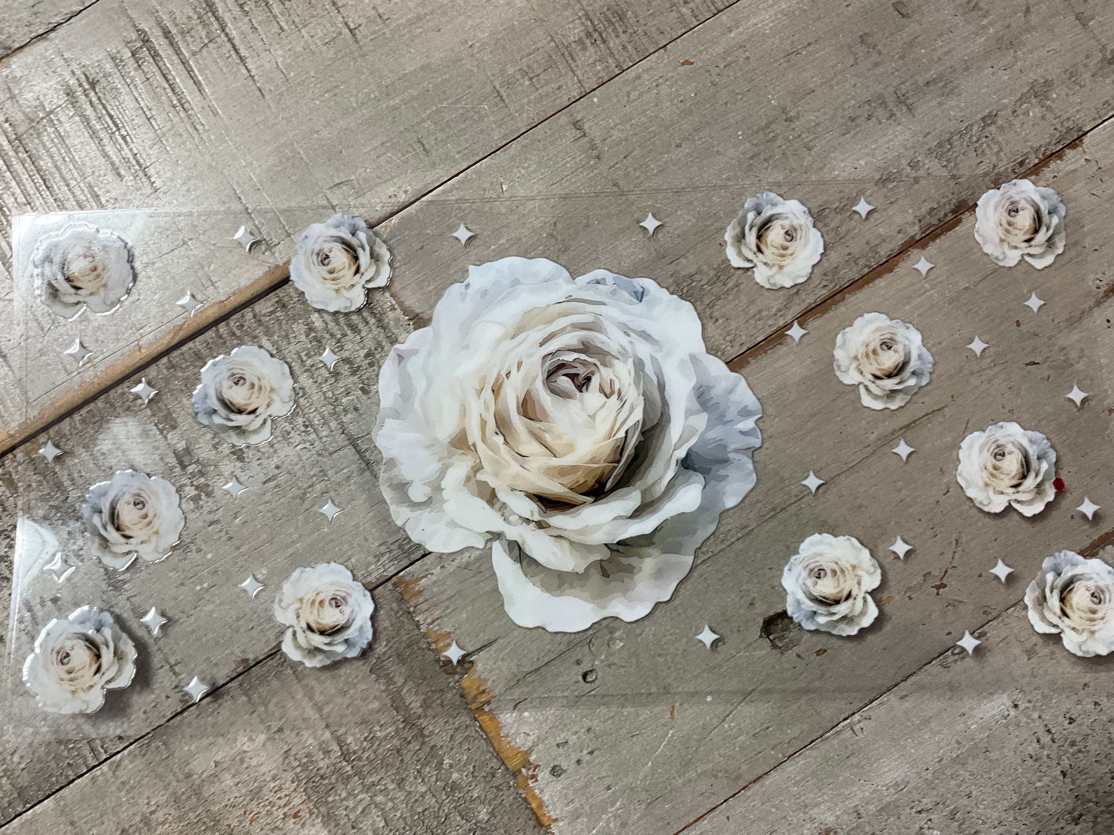 White rose