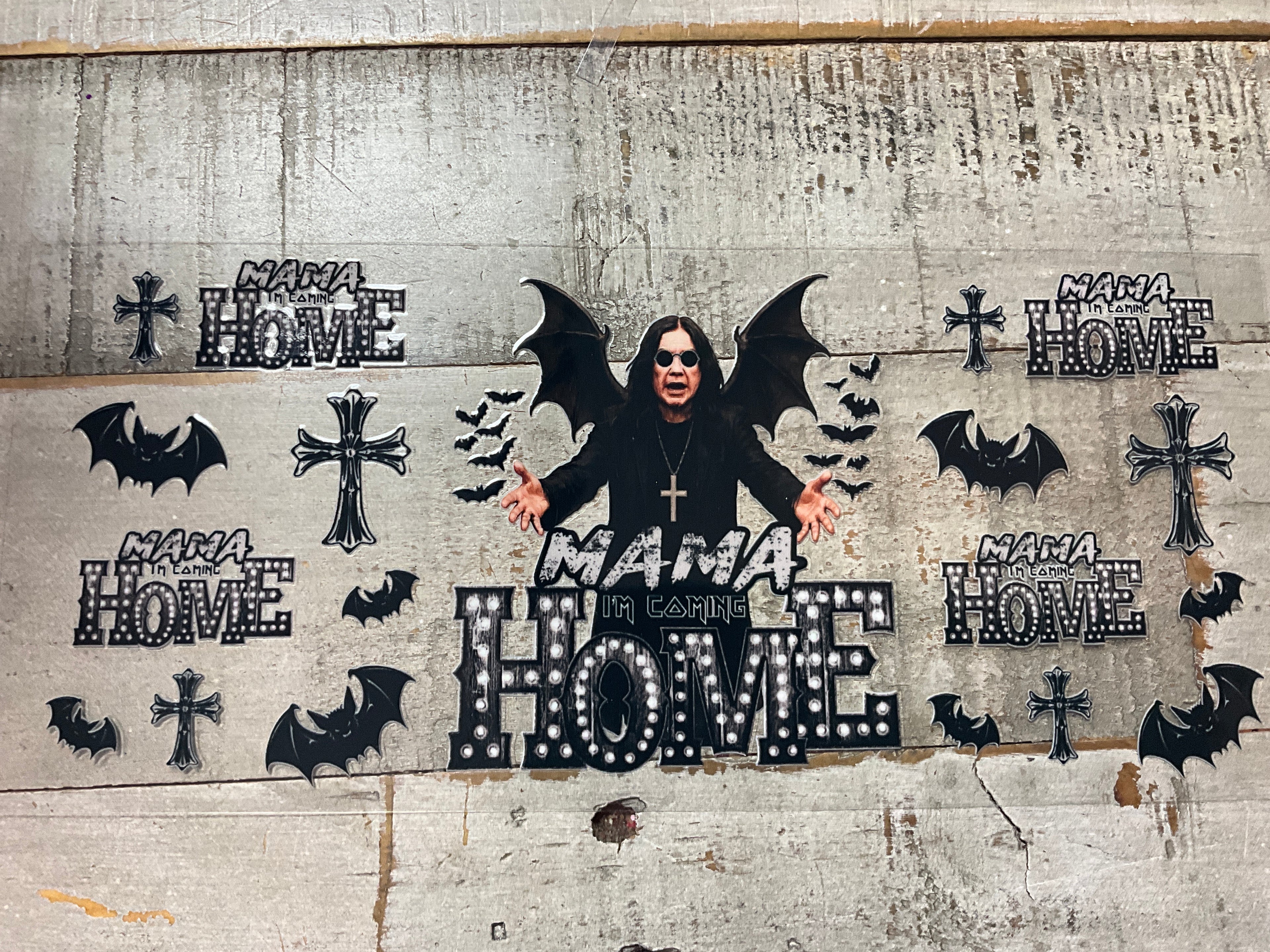 Ozzie home