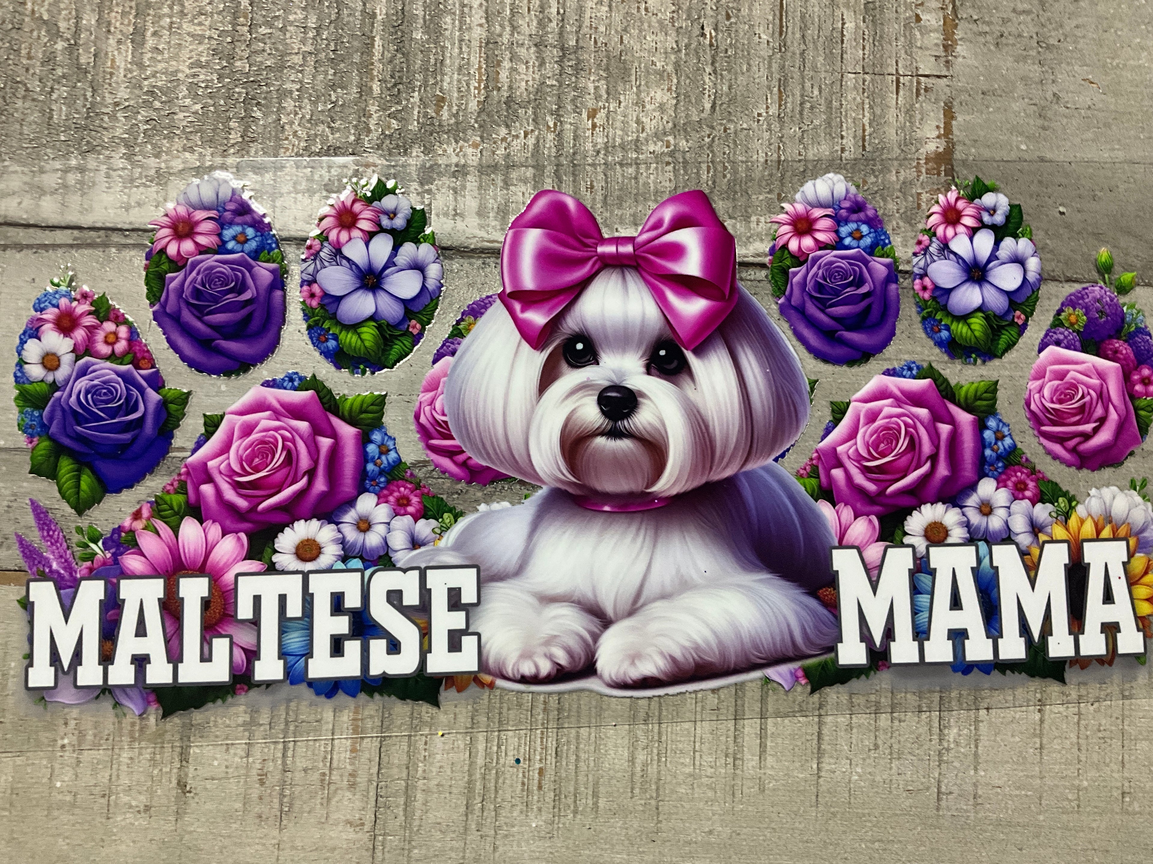 Maltese mama