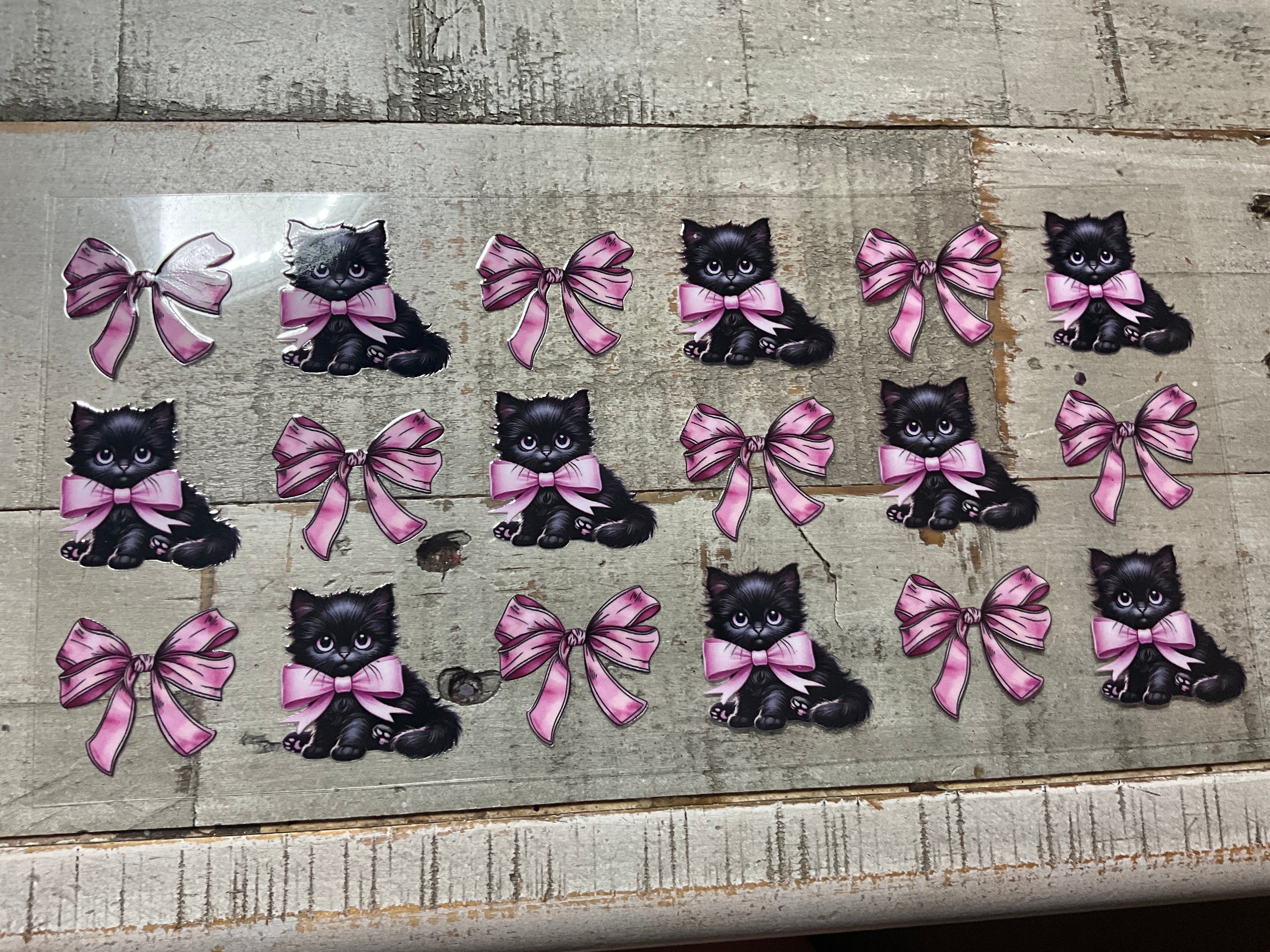 Black kitten with pink bow