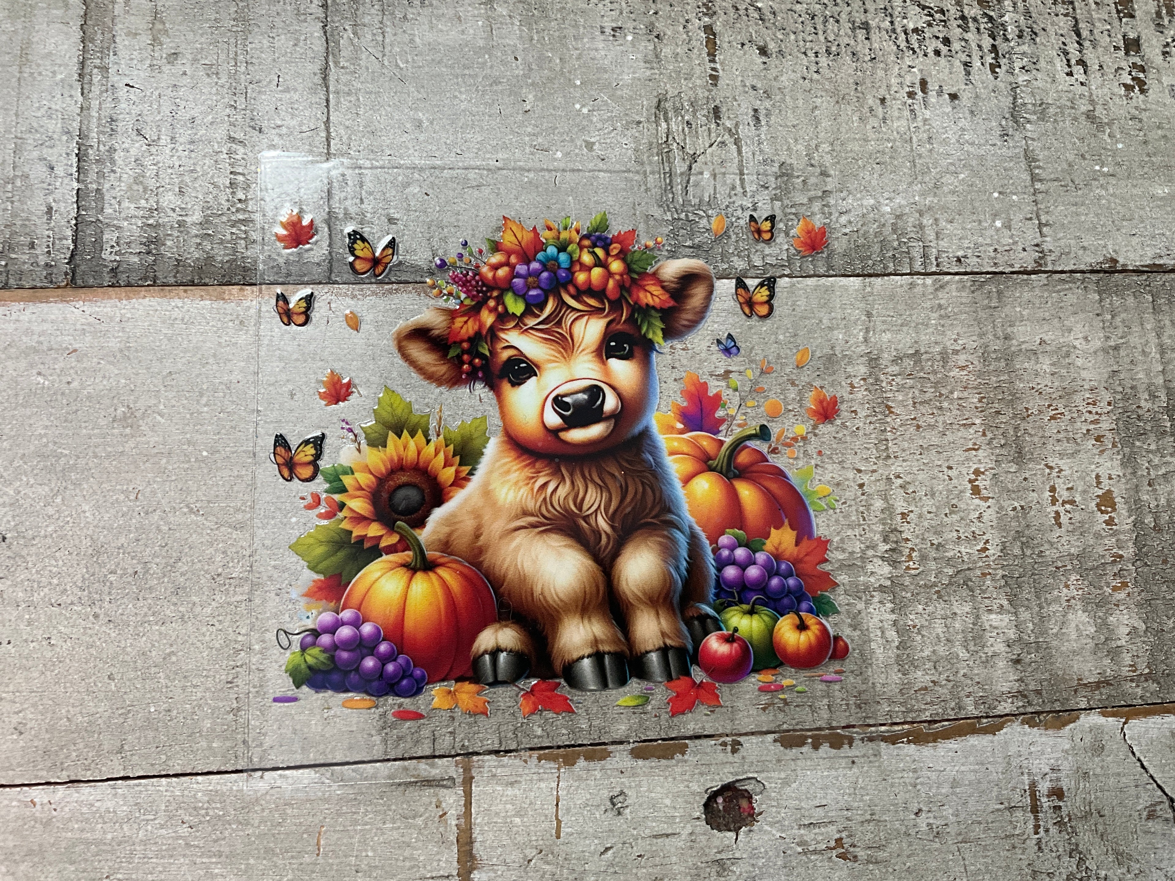 Fall highland cow