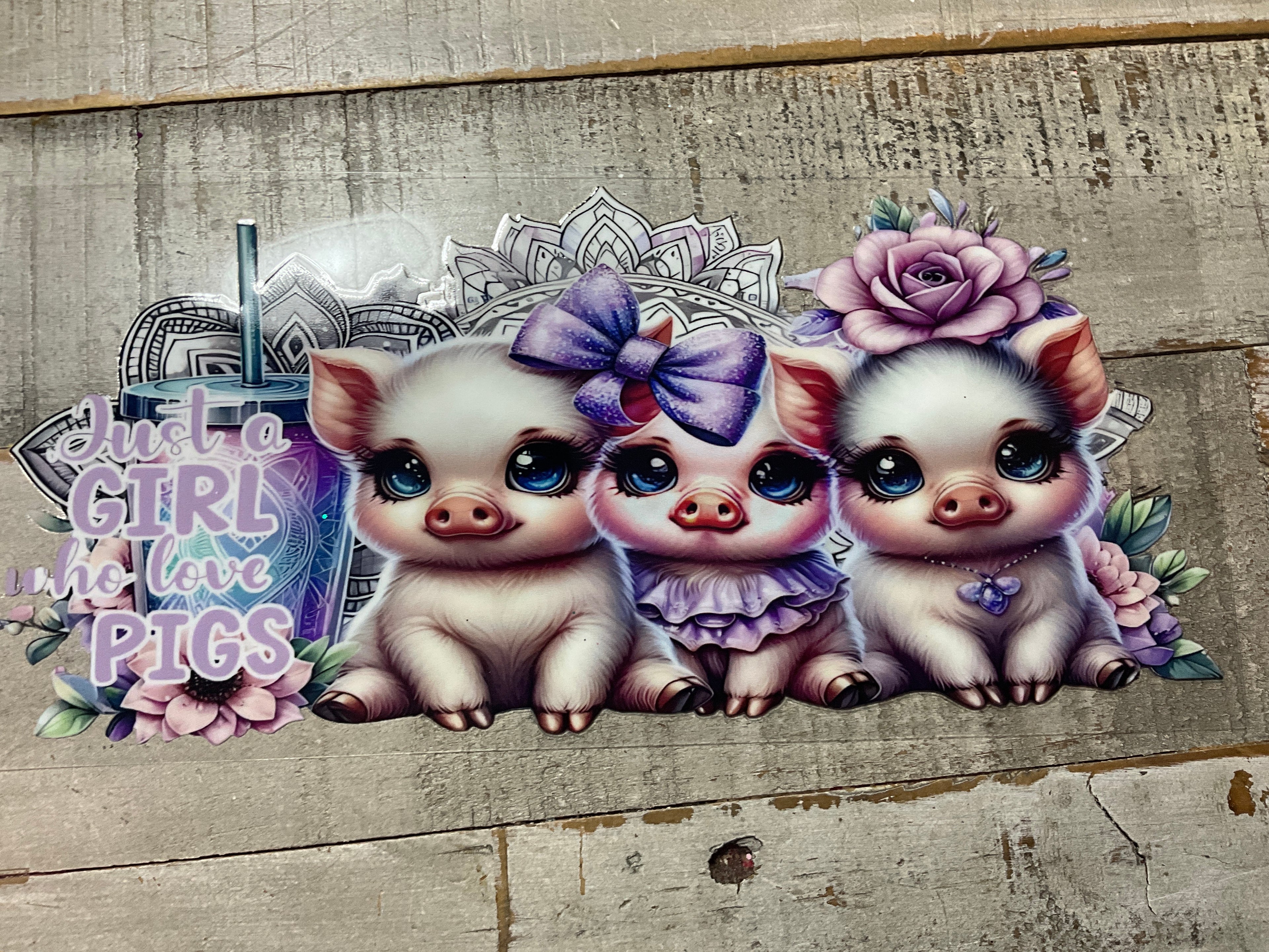 Girl who loves pigs