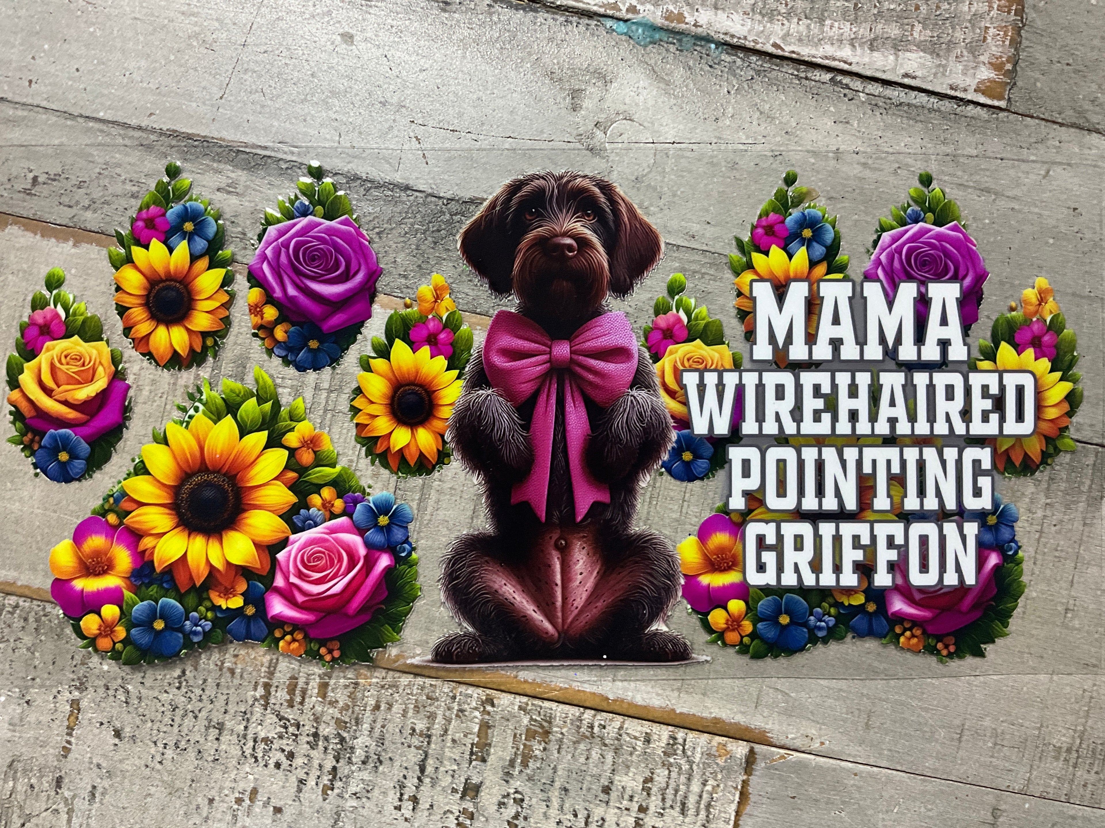 Wirehaired pointing griffin mama
