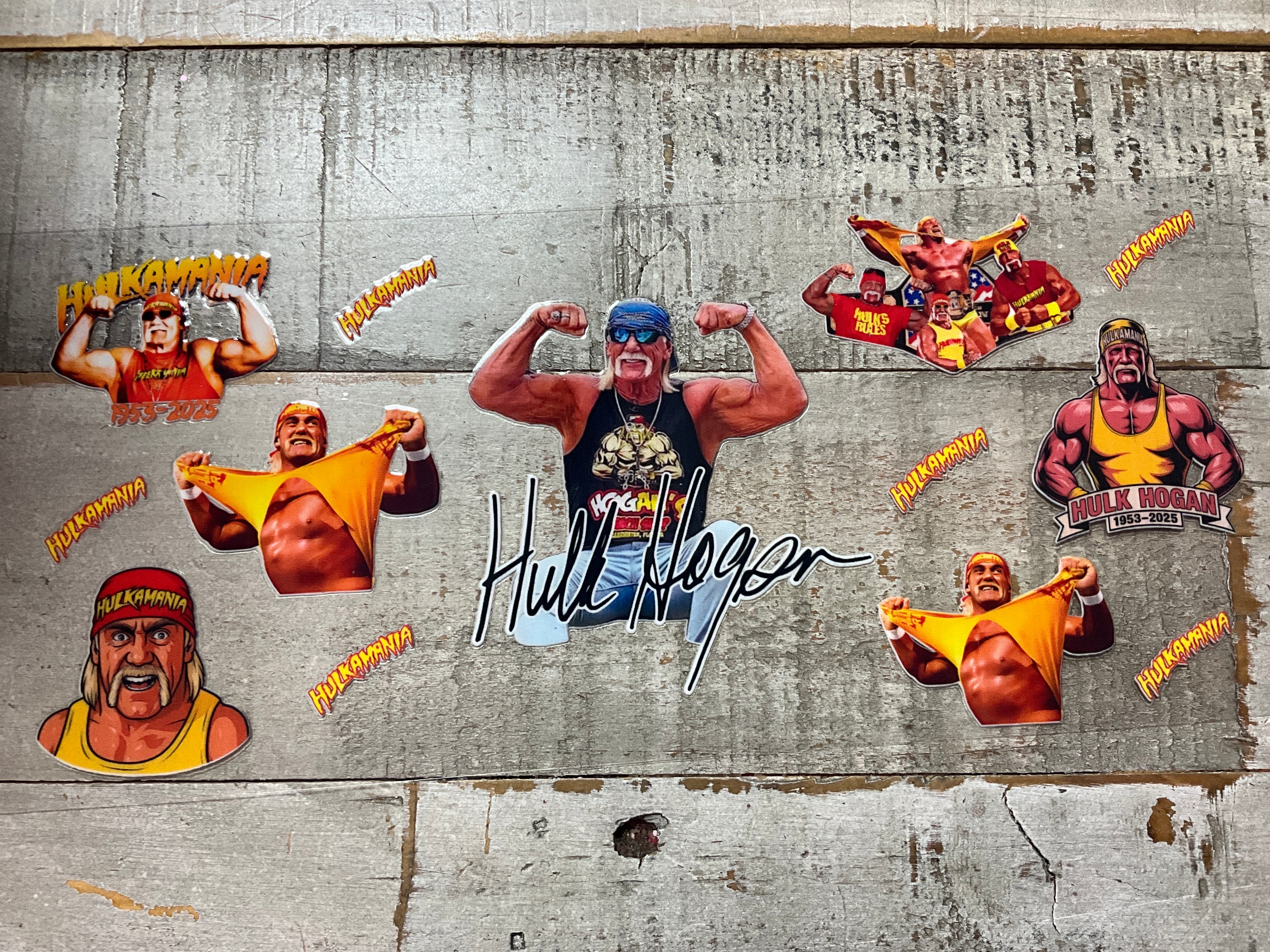Wrestle hogan