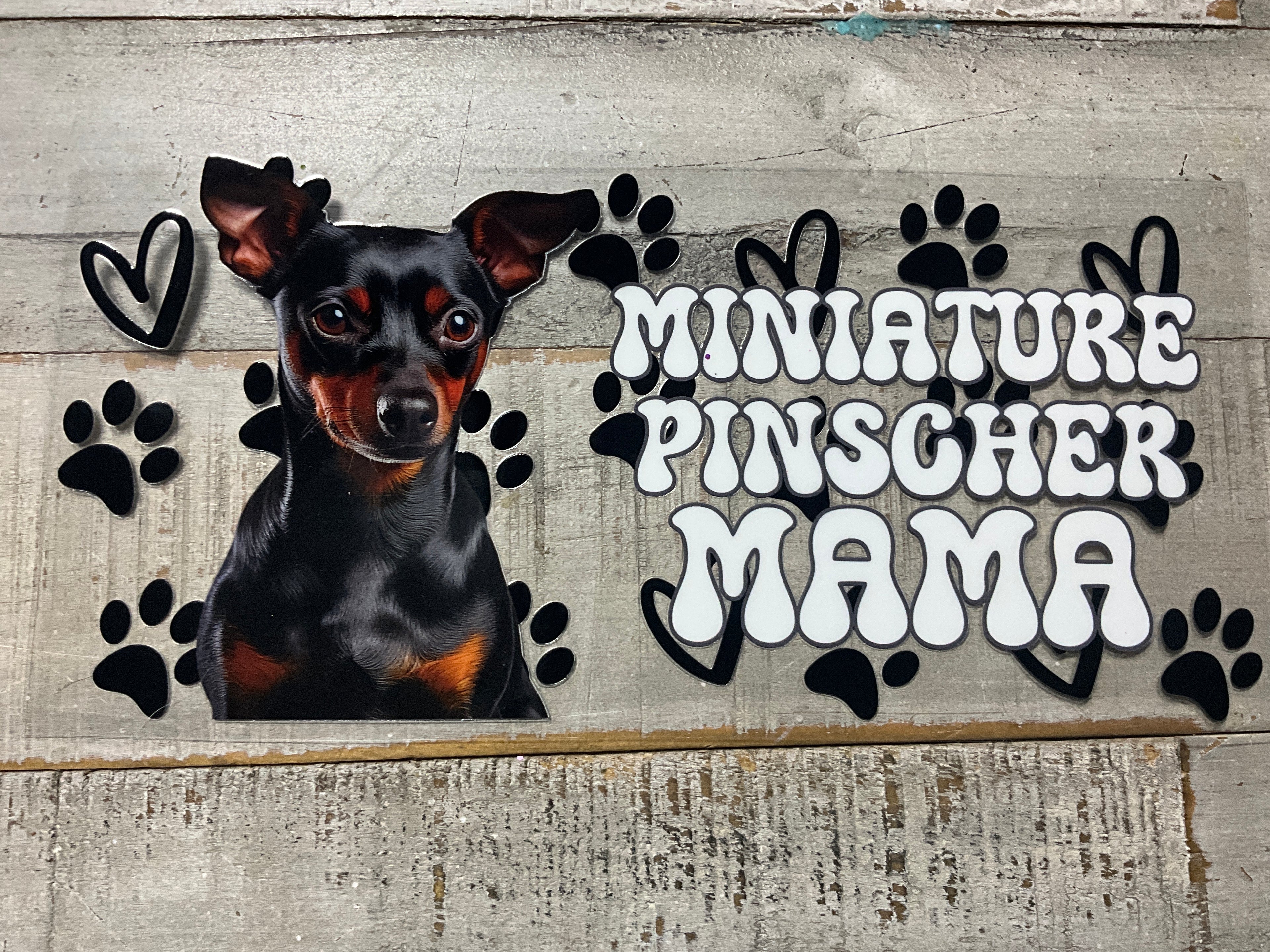 Miniature pinscher mama