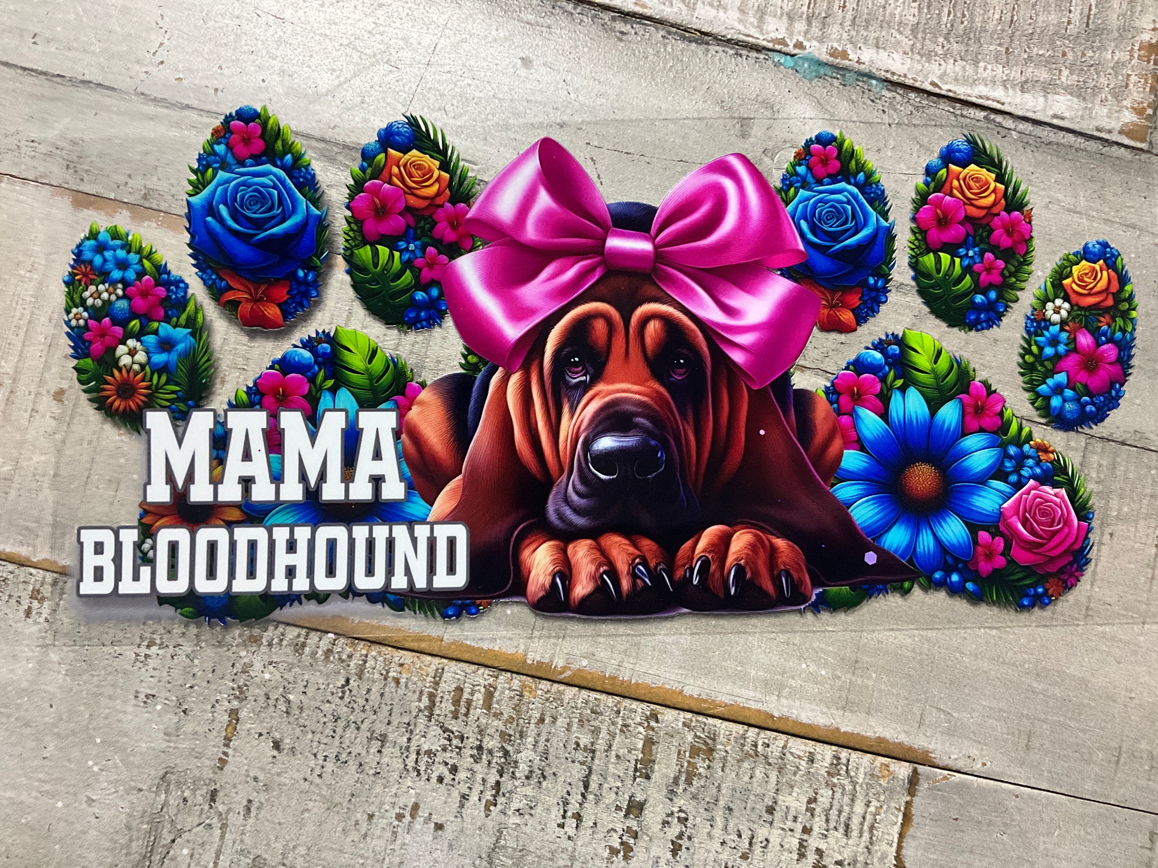 Bloodhound mama