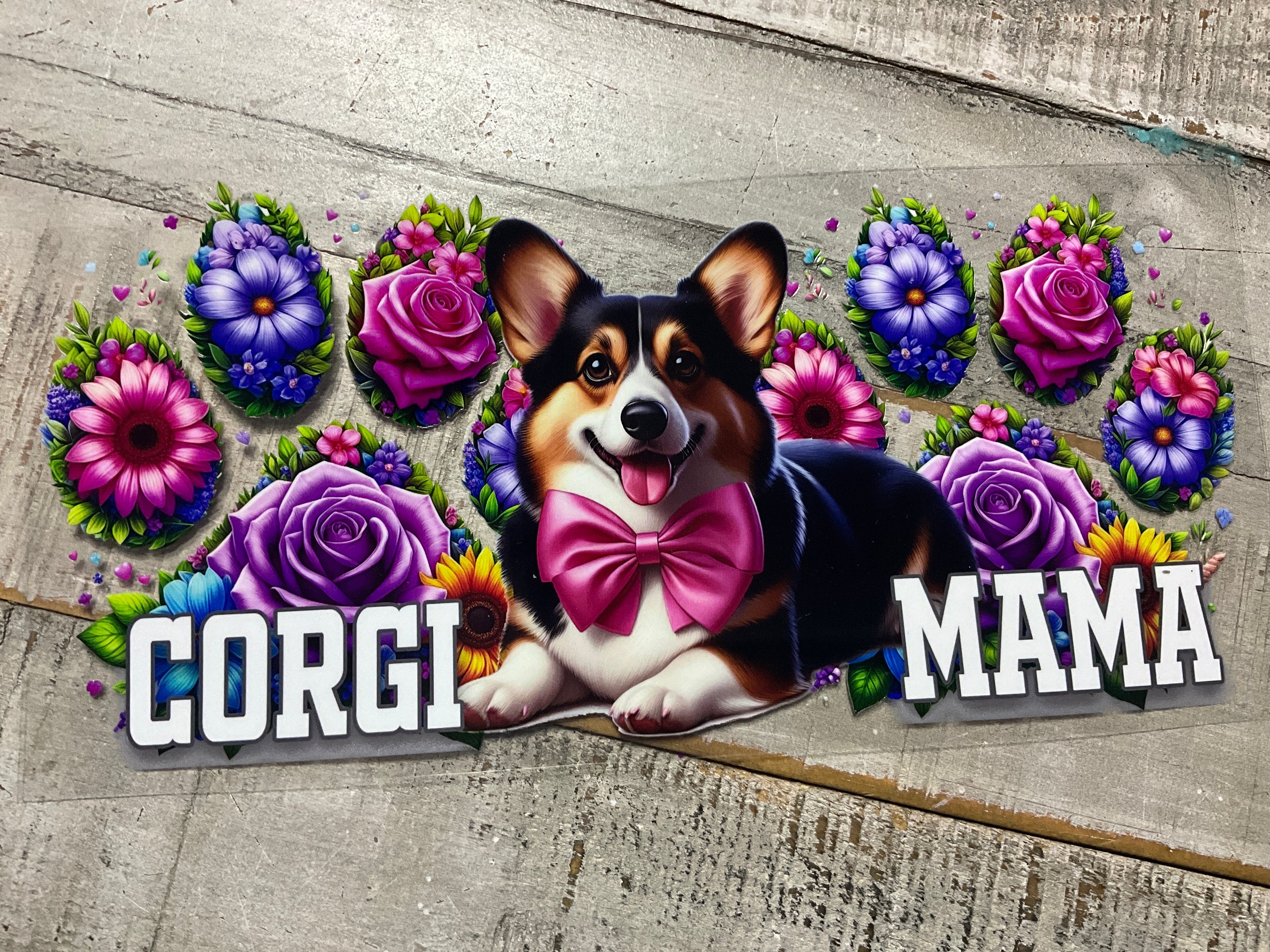 Corgi mama