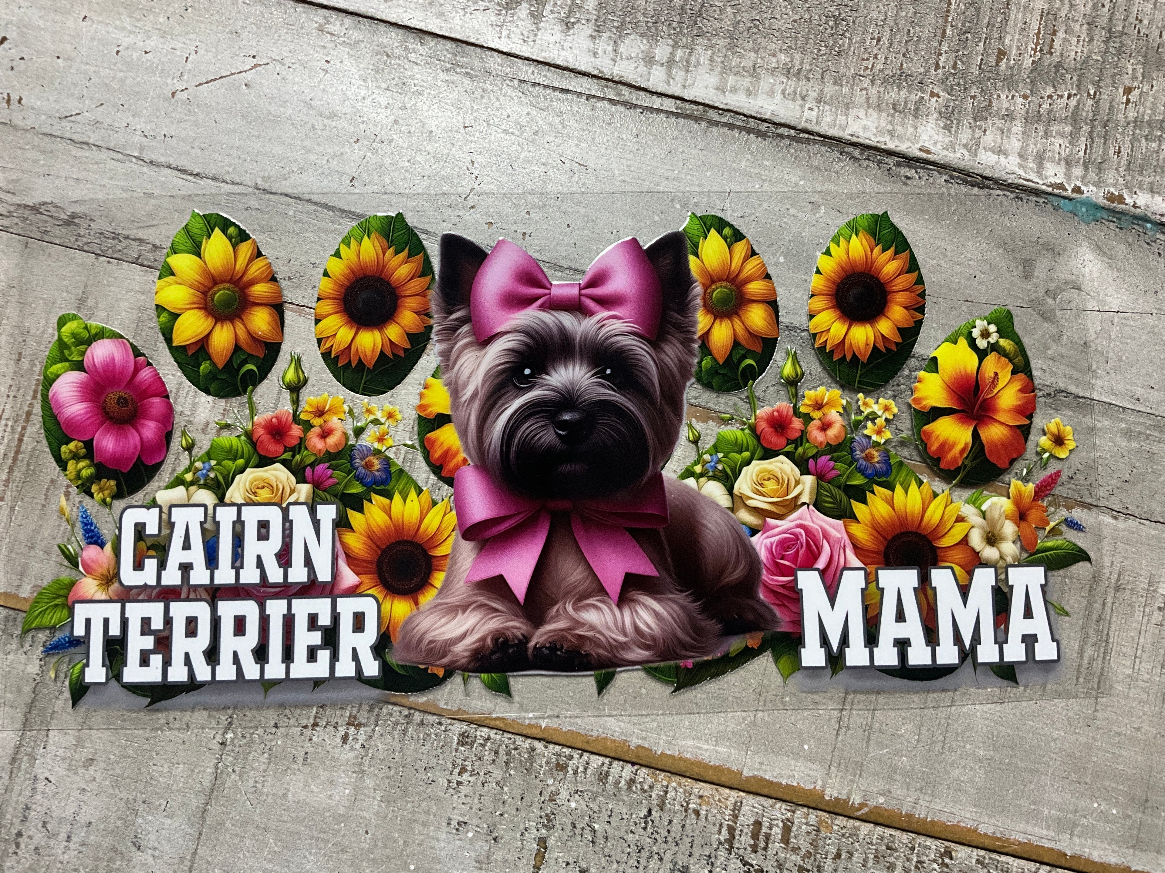 Cairn terrier