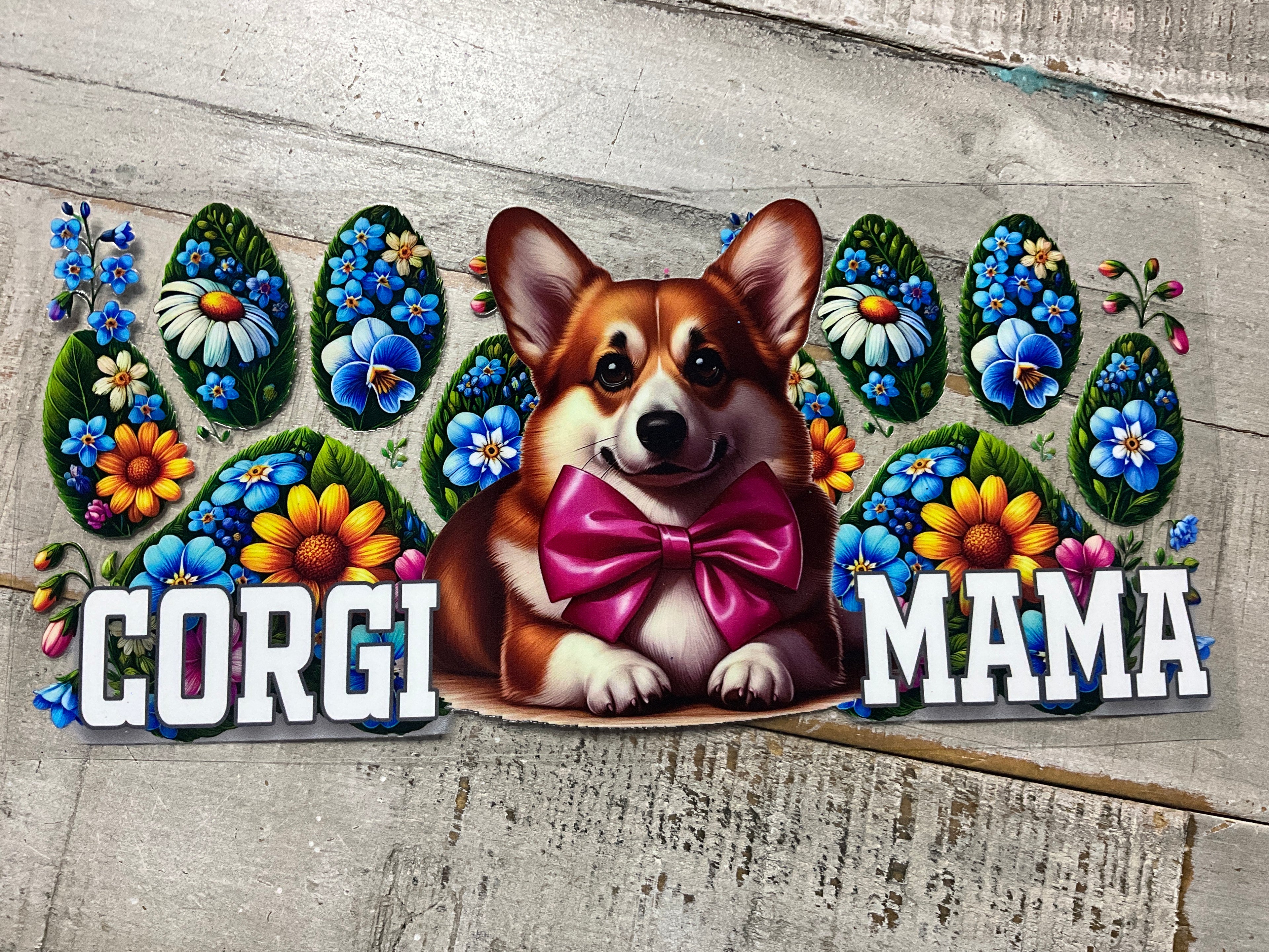 Corgi mama