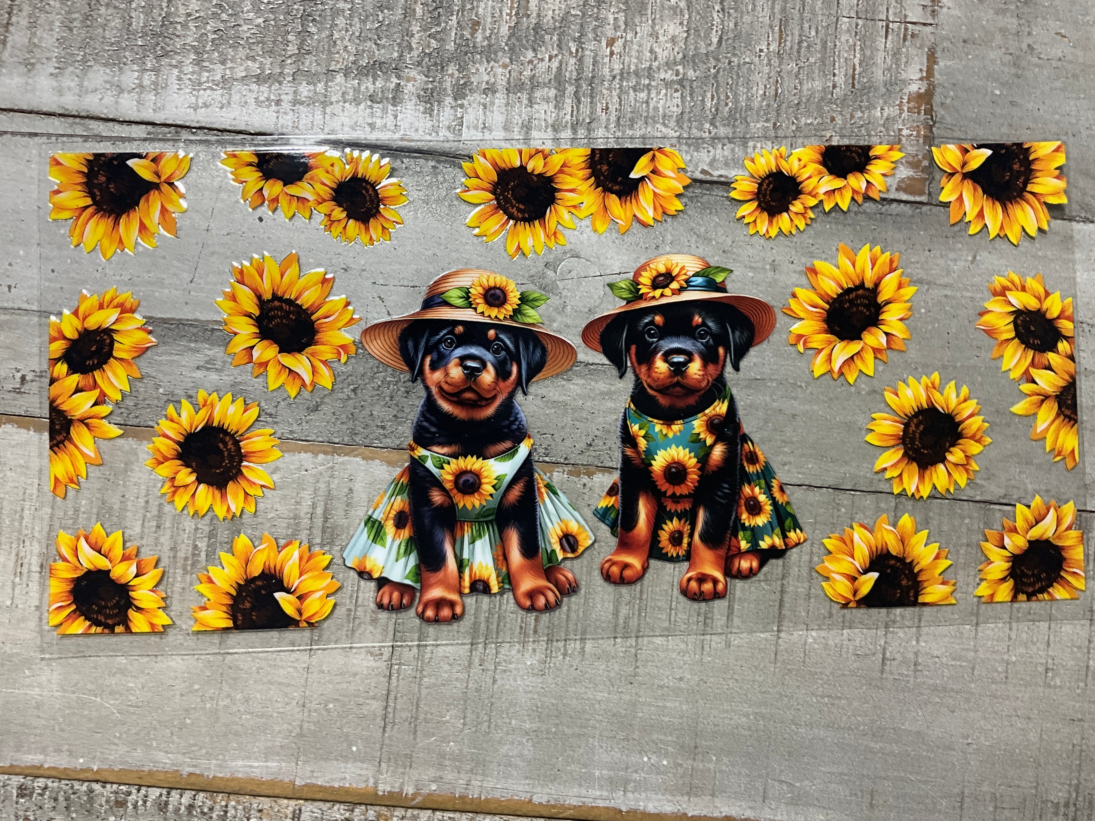 Rottweiler sunflower