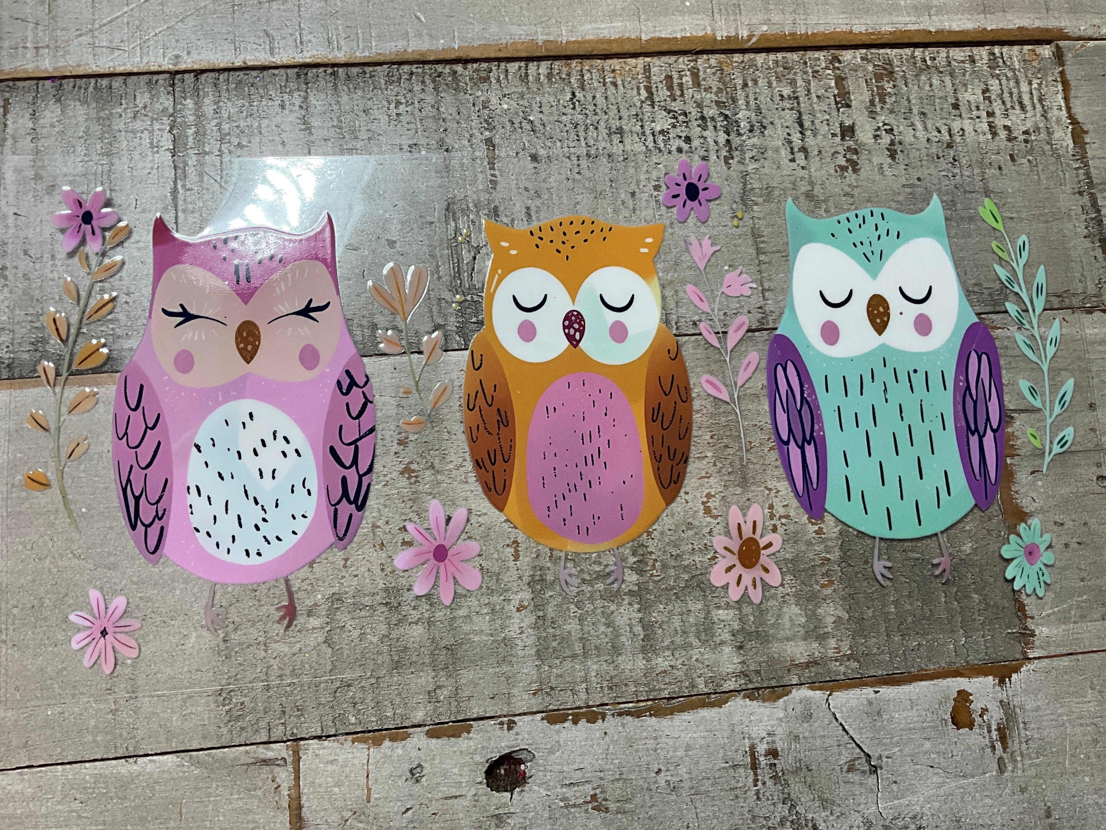 Cute owls