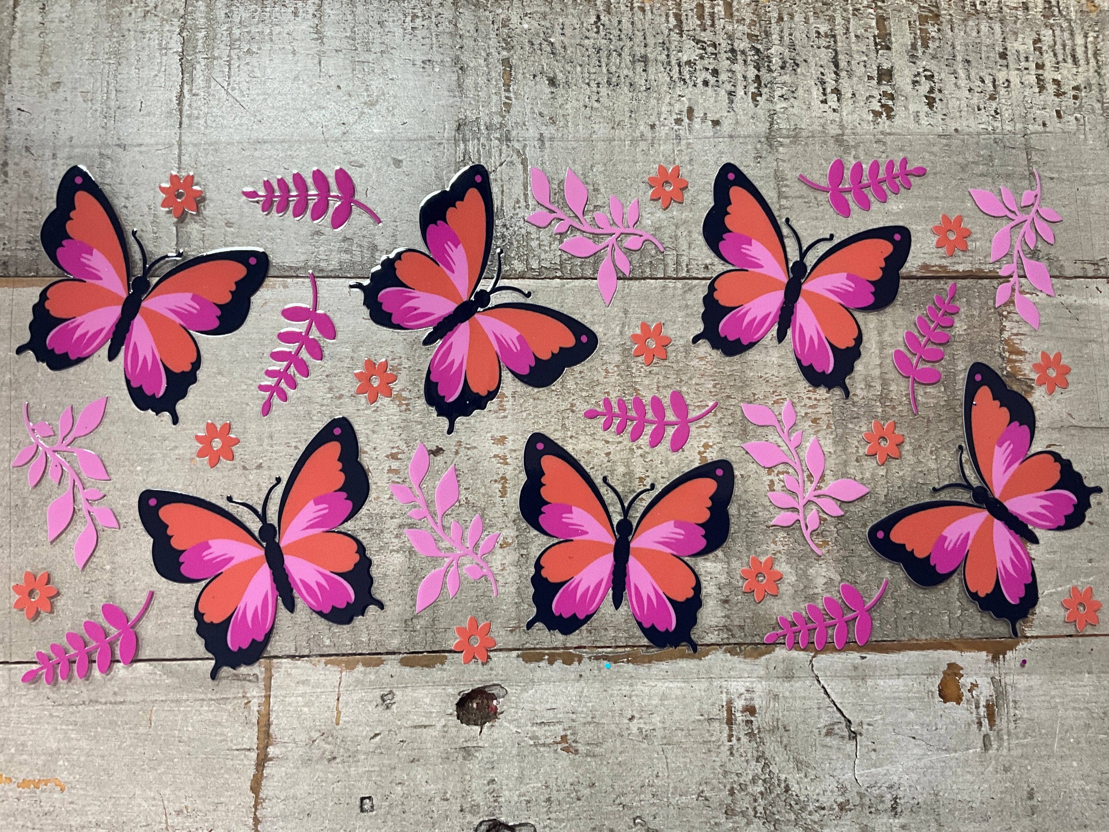 Colorful butterfly’s