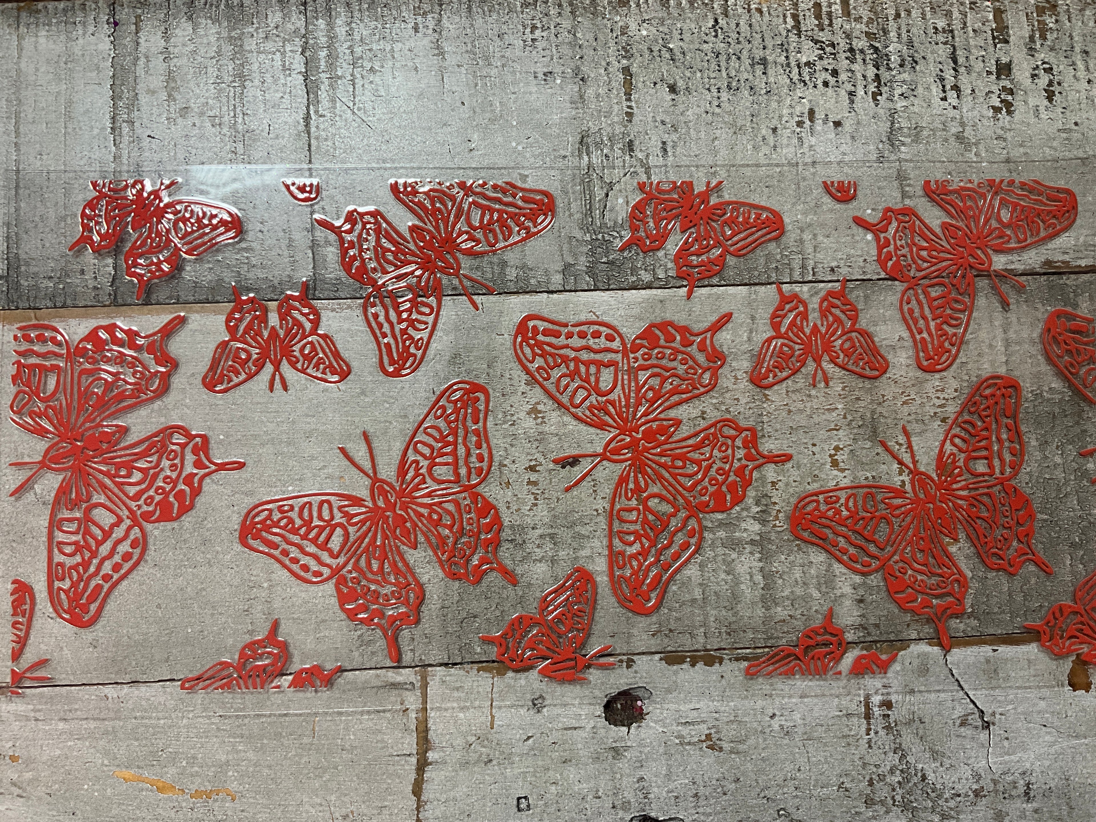 Orange butterfly