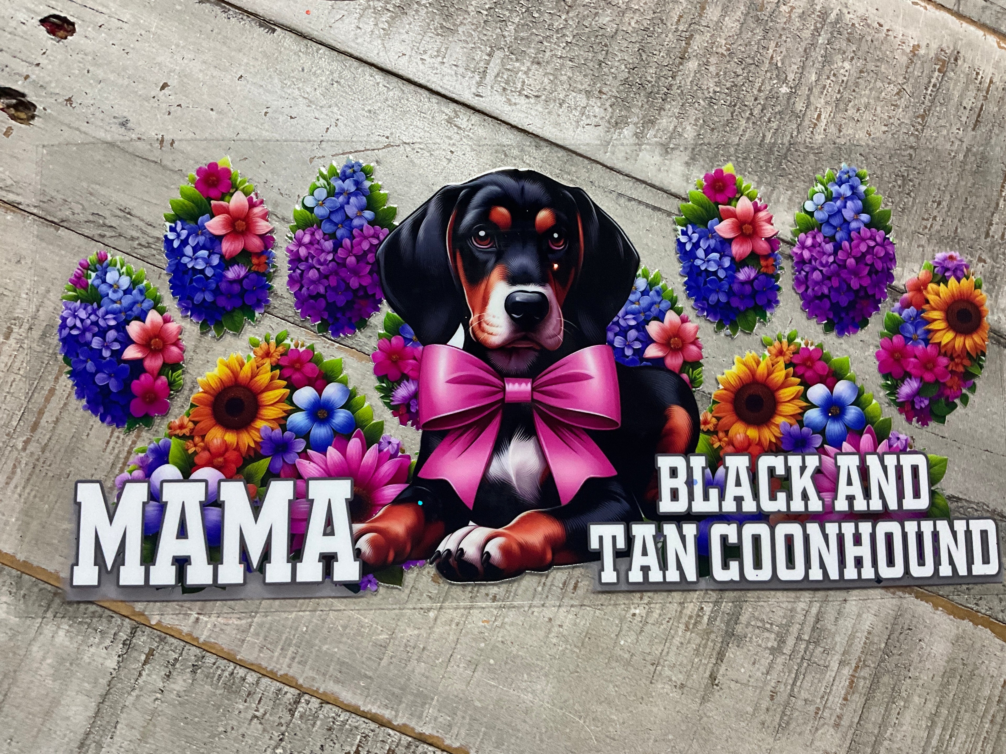 Black/tan coonhound