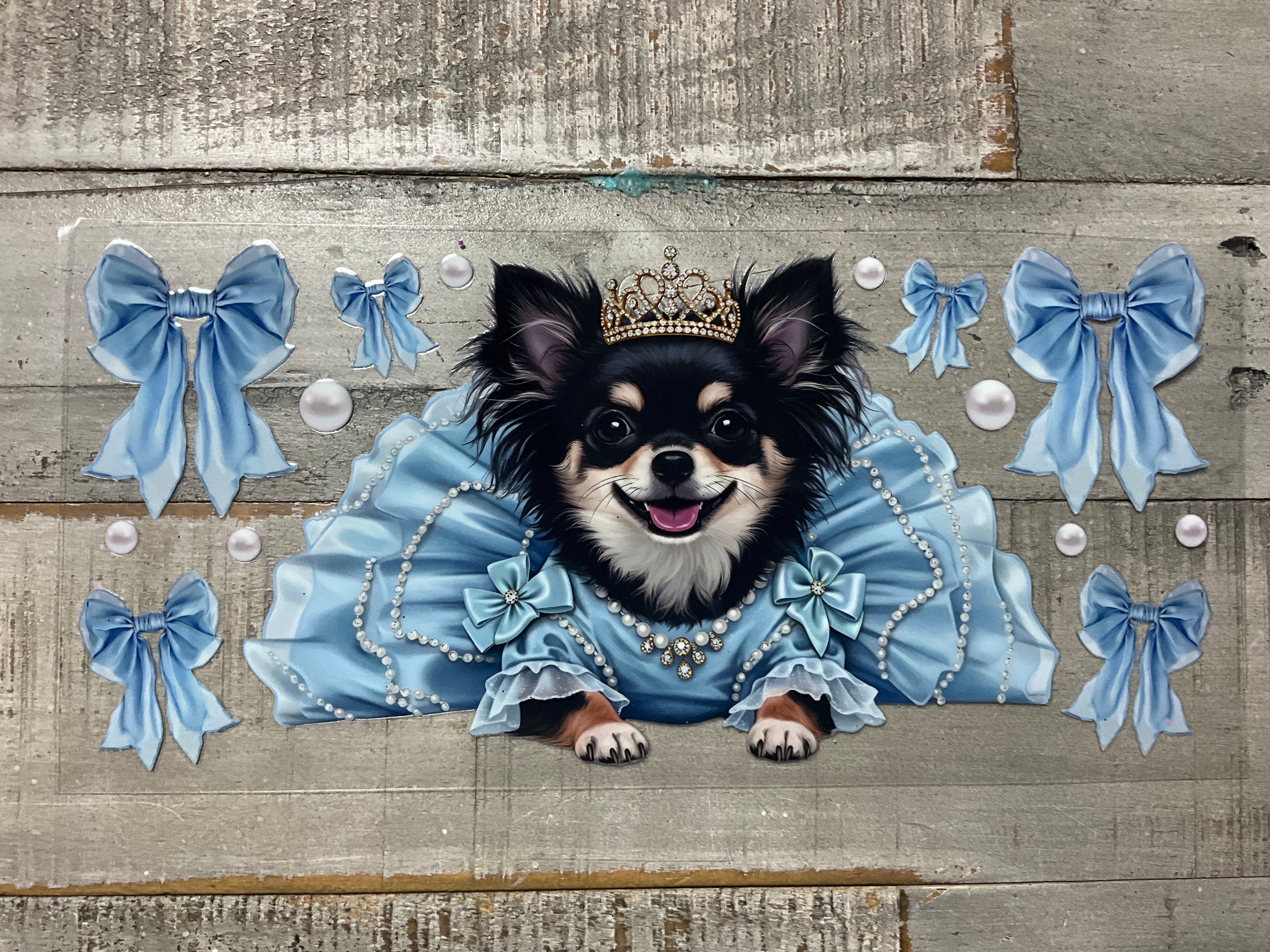 Chihuahua blue tutu