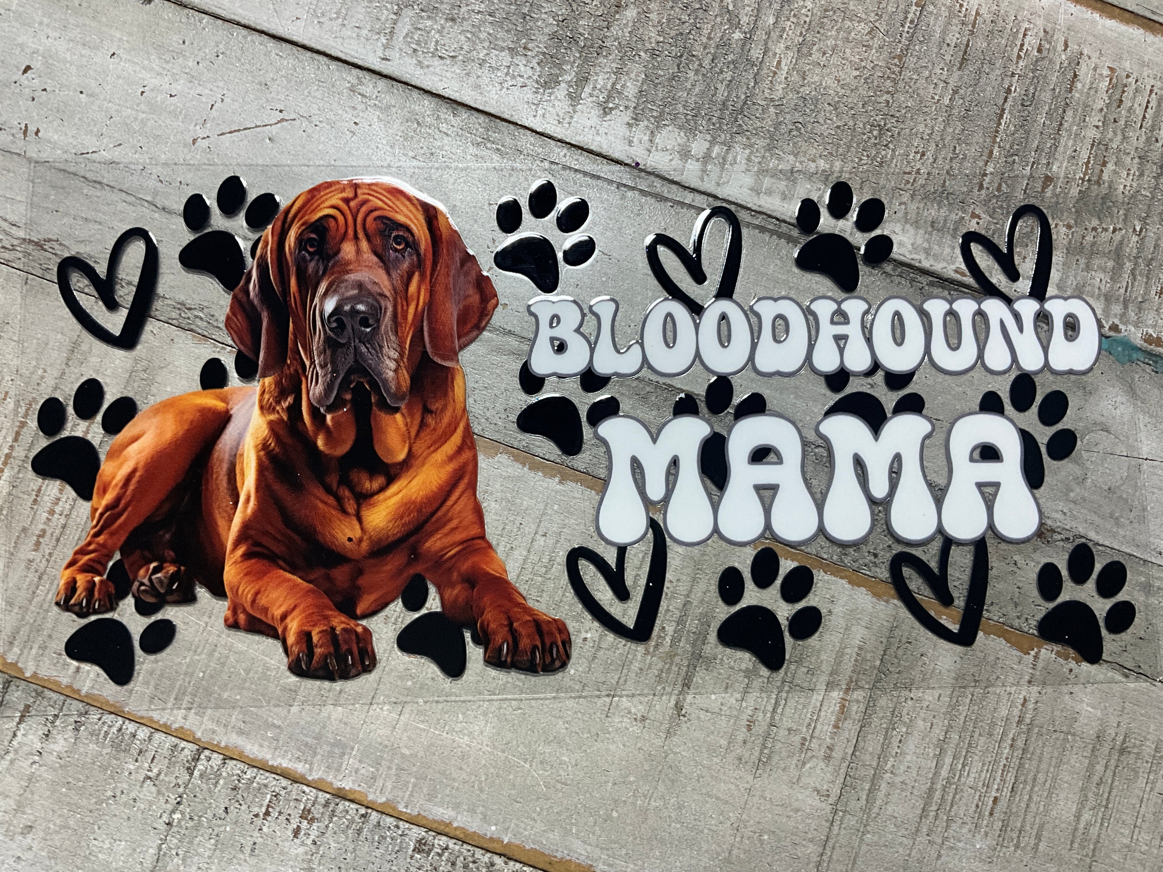Bloodhound mama