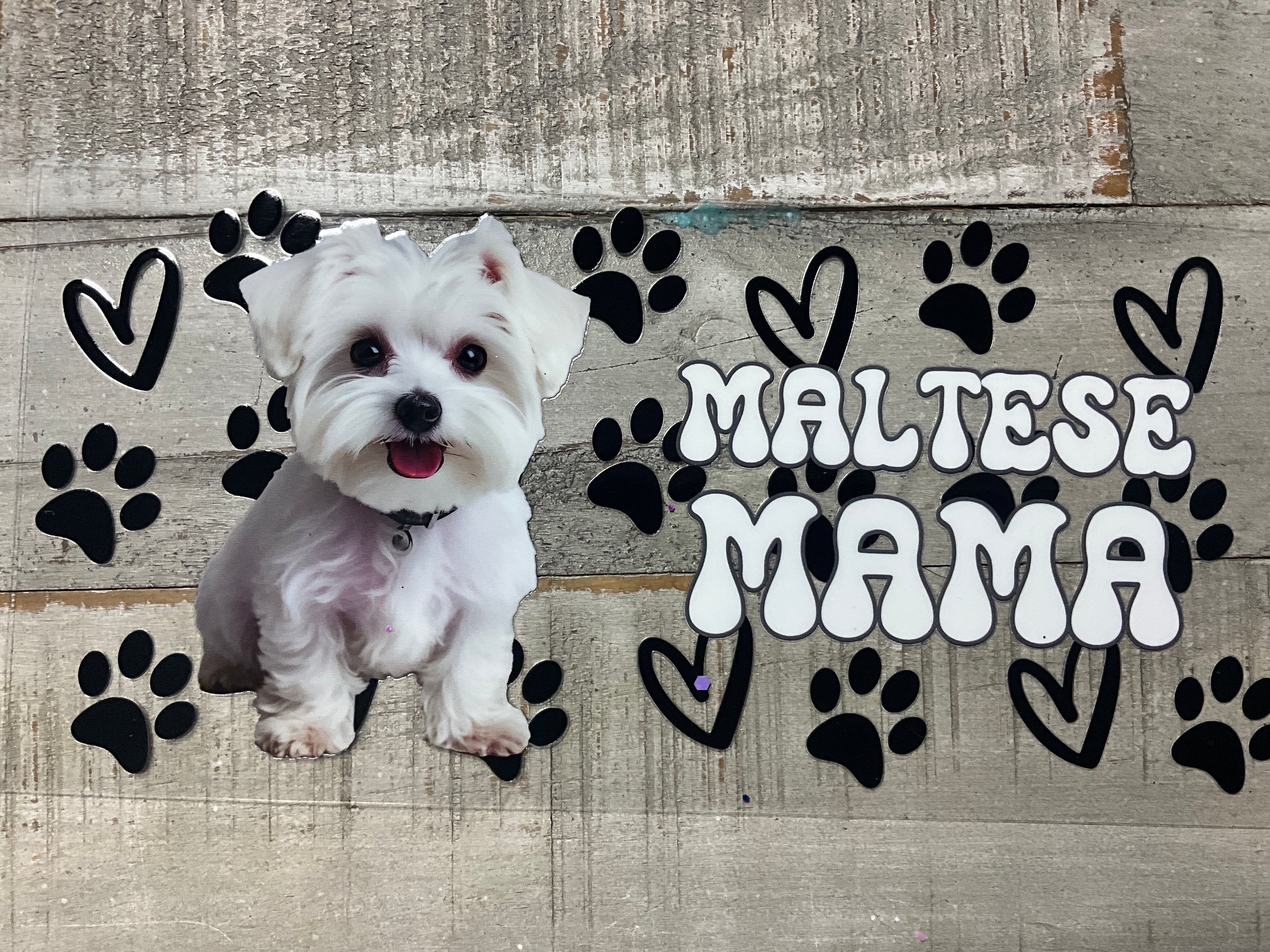 Maltese mama hearts