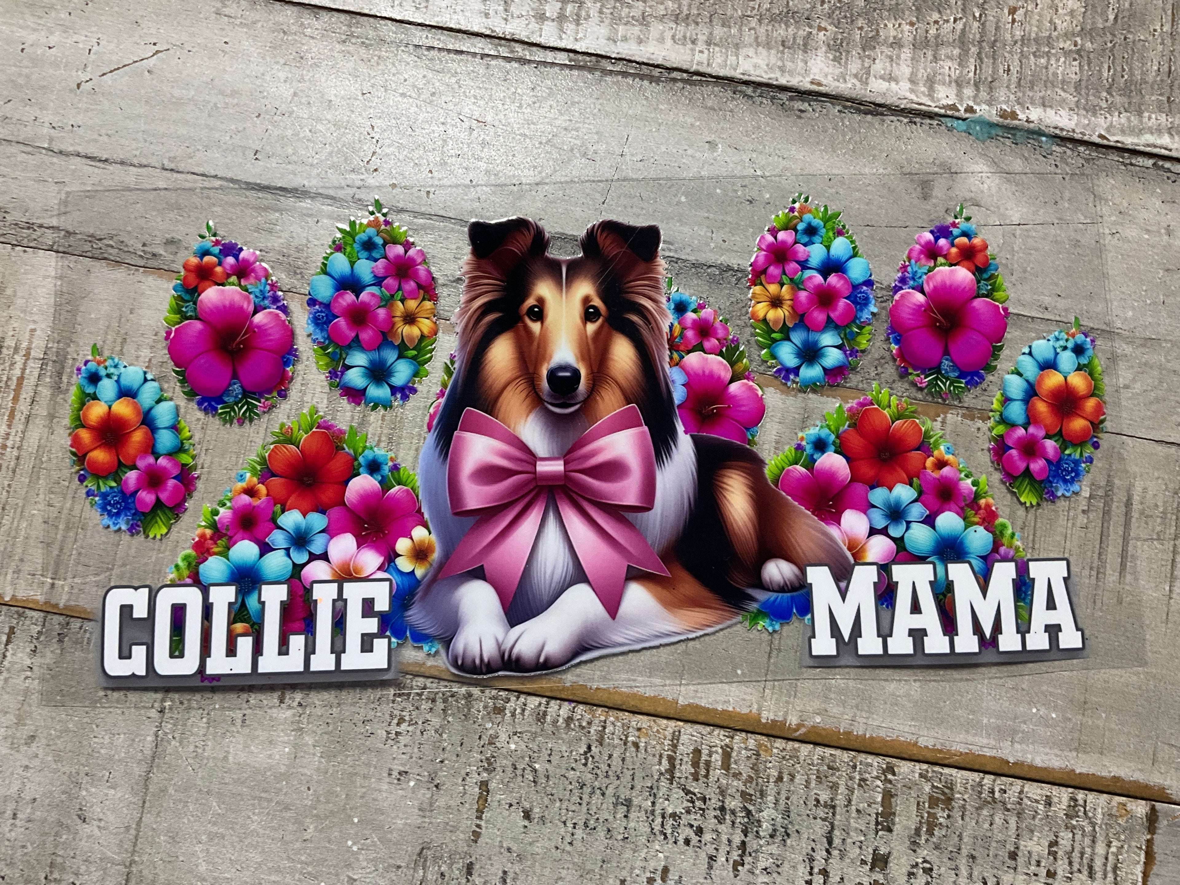 Collie mama